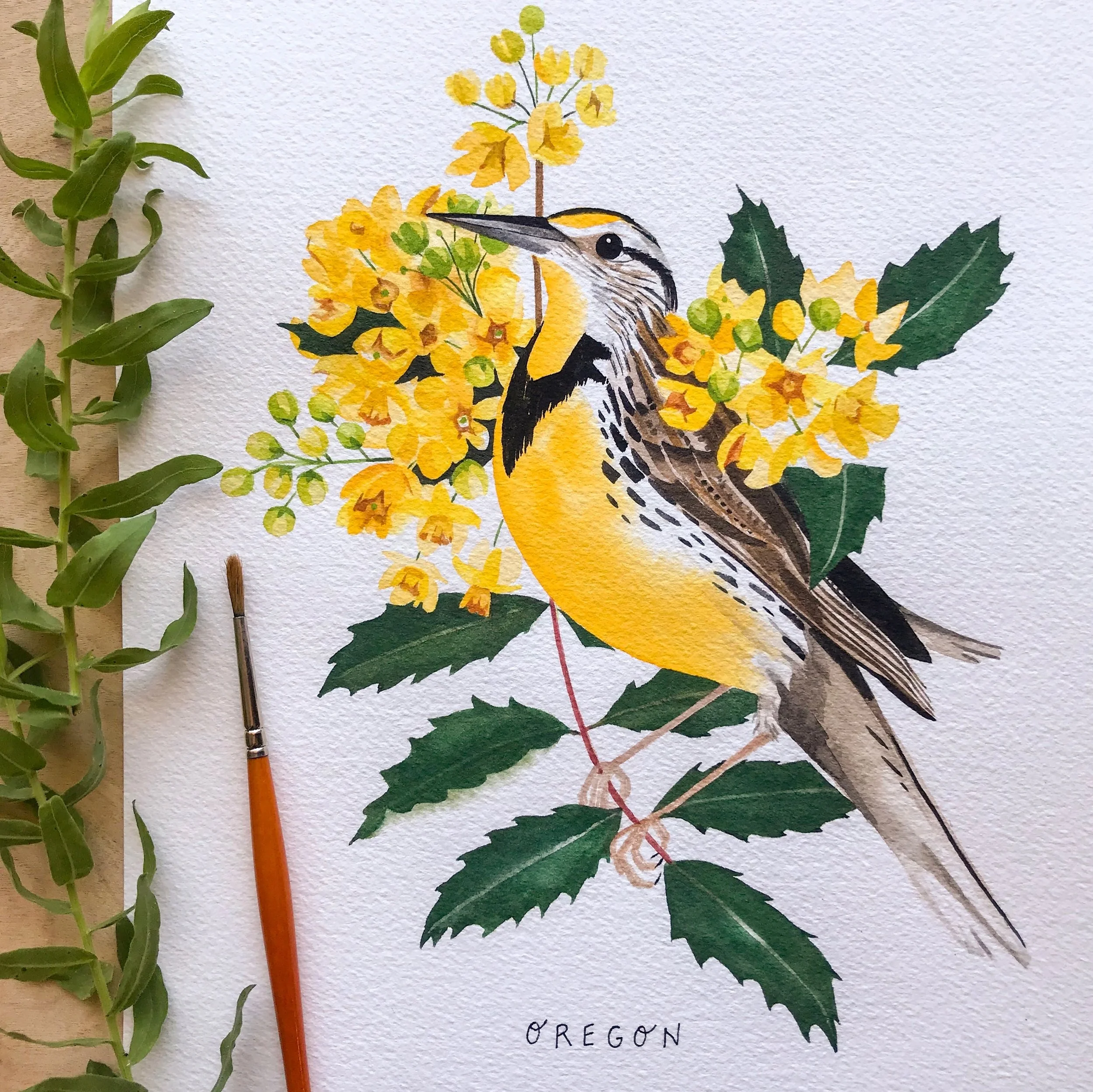 Oregon Western Meadowlark Original