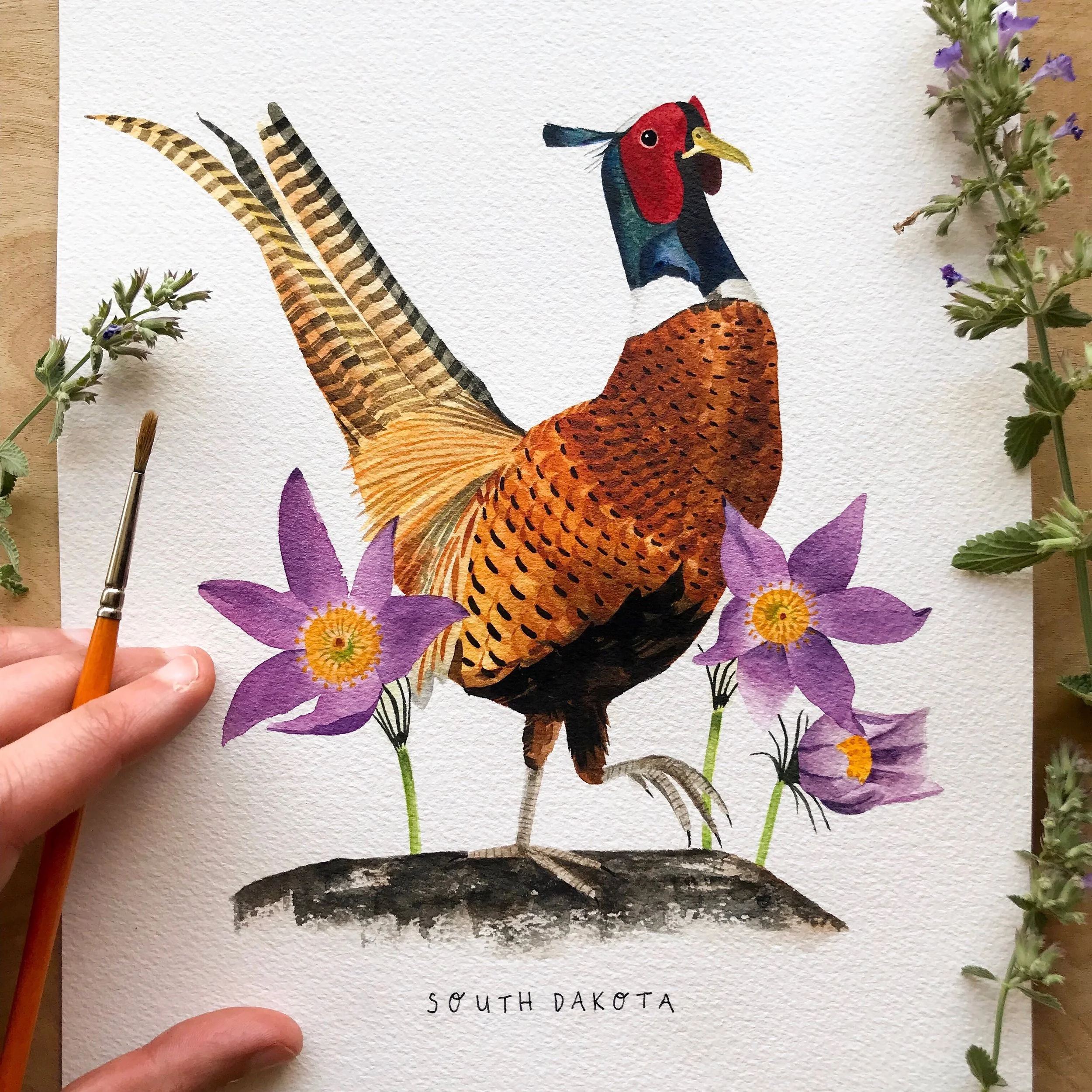 South Dakota Ring-necked Pheasant Original