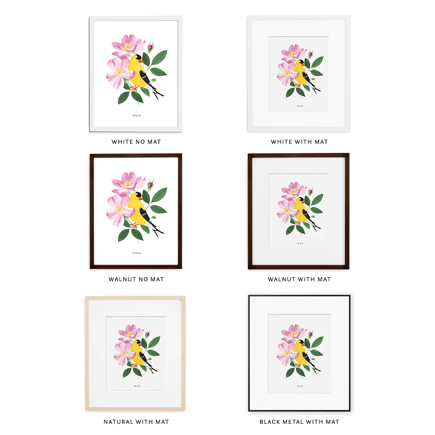 Simply Framed Grid.jpg