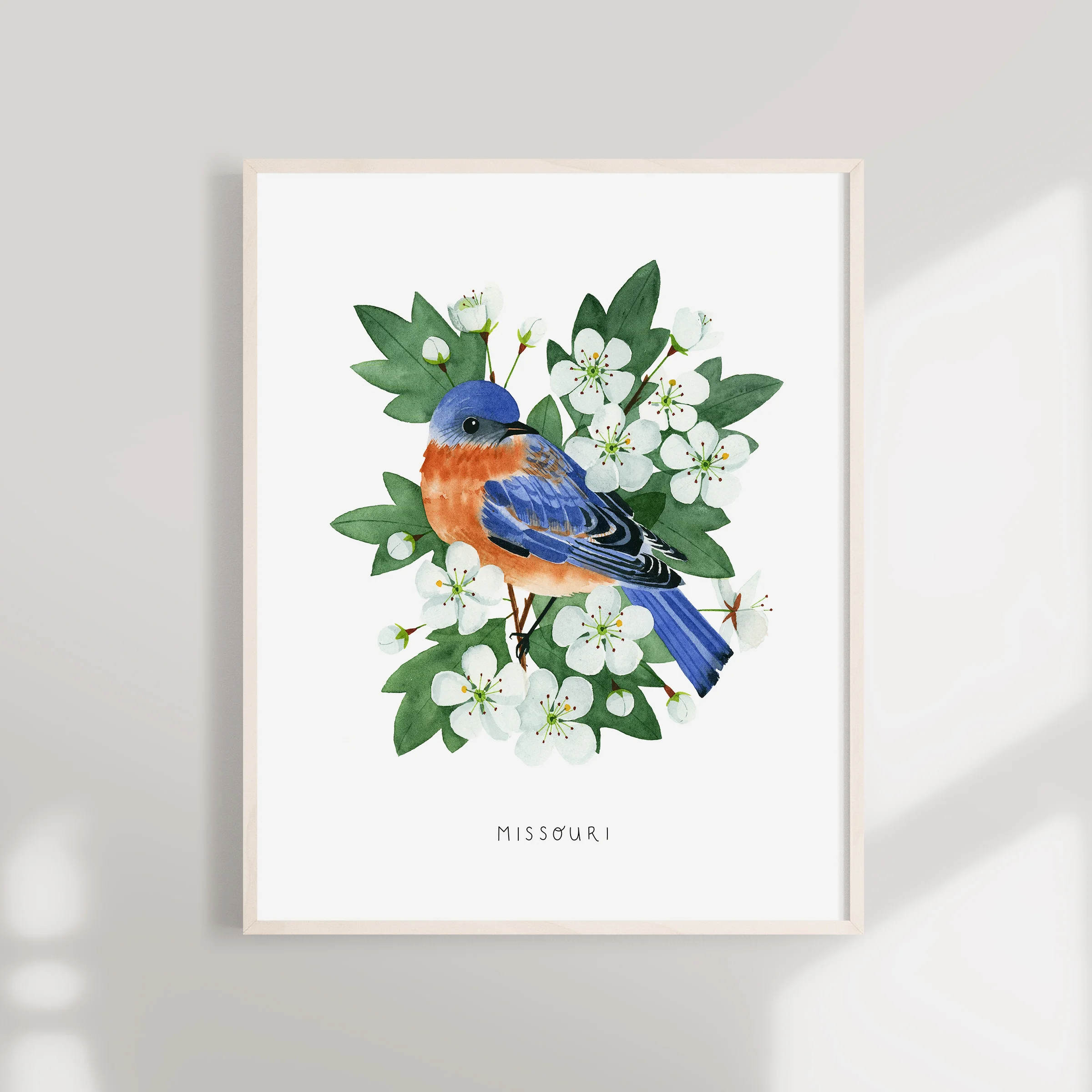 Missouri Bluebird Watercolor Art Print