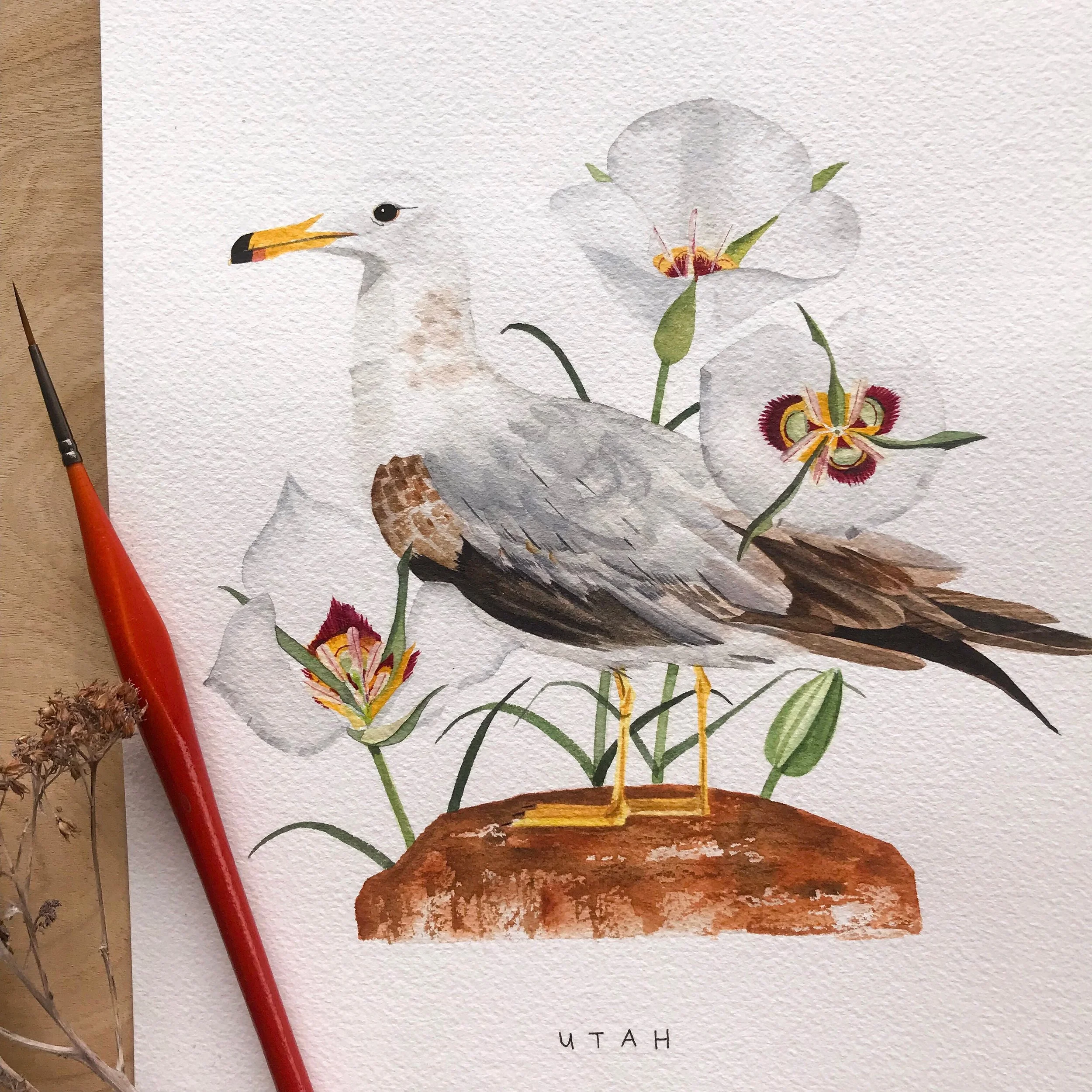 Utah California Gull State Bird Artwork