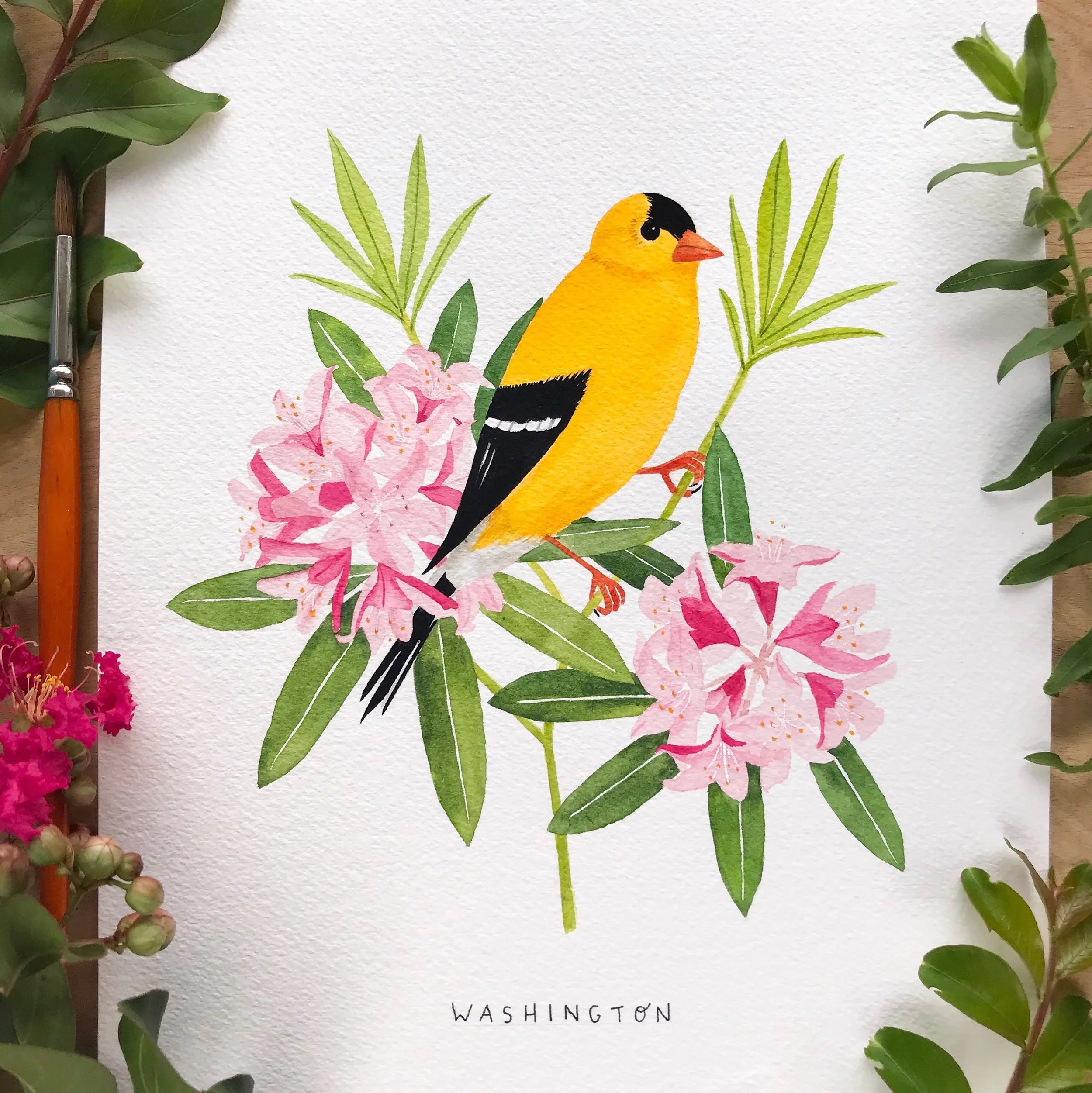 Washington Goldfinch and Rhodedendron Artwork