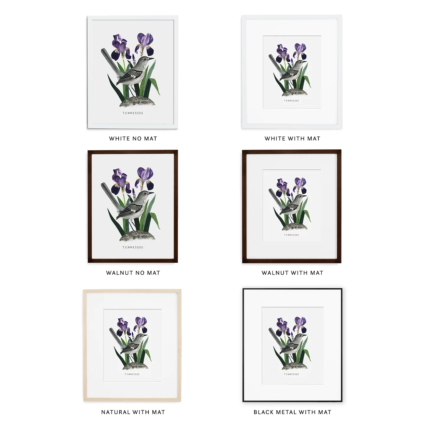 Simply Framed Grid.jpg