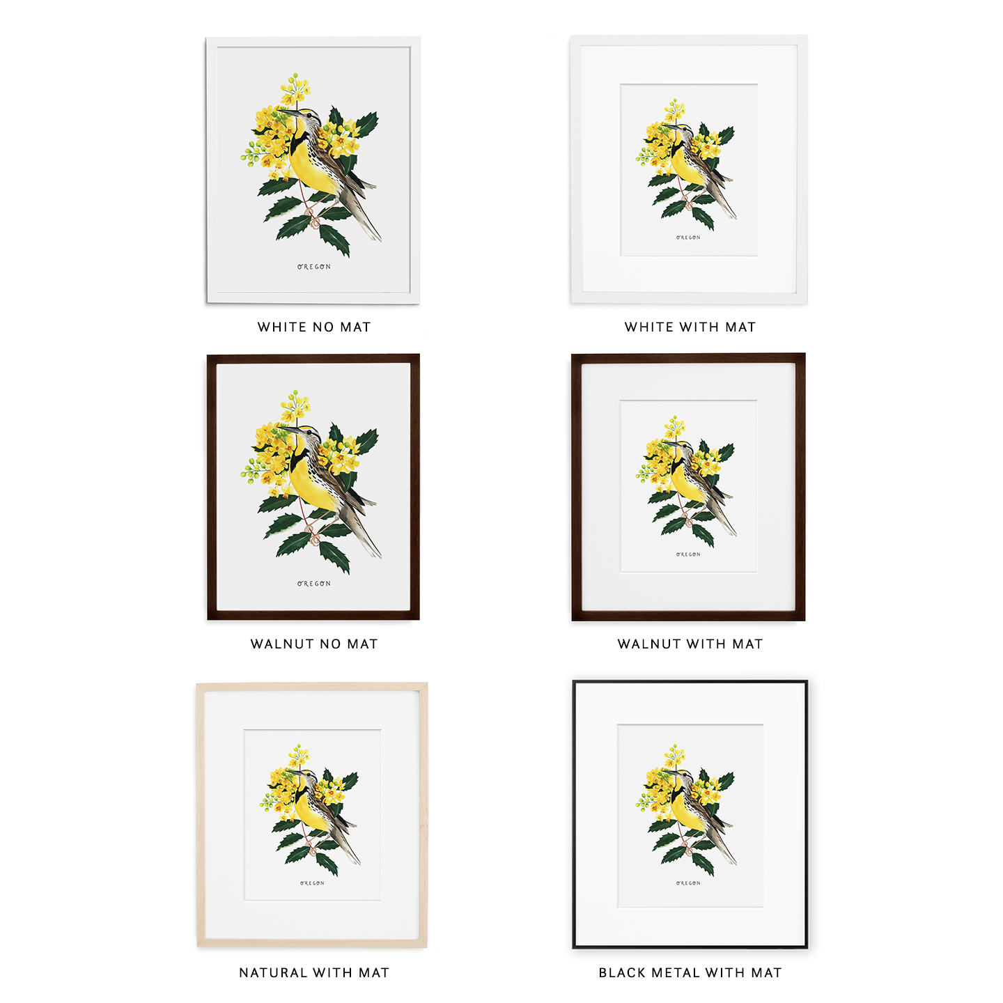 Oregon Western Meadowlark and Grape Blossom State Bird Artwork