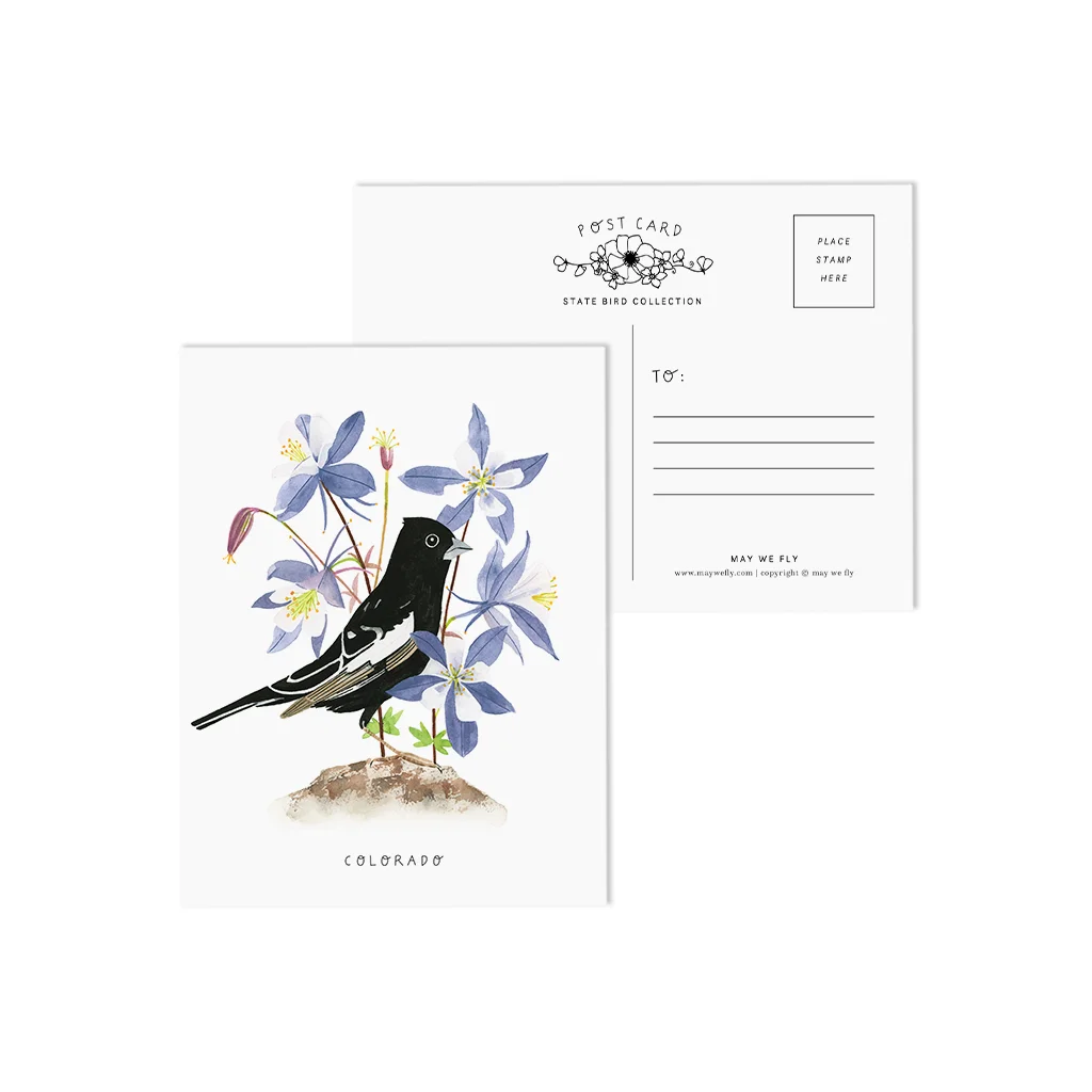 Colorado Lark Bunting and Columbine State Bird Postcards
