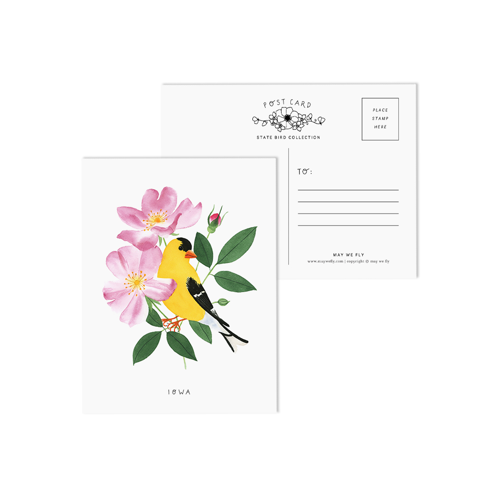 Iowa Goldfinch and Prairie Rose State Bird Postcards