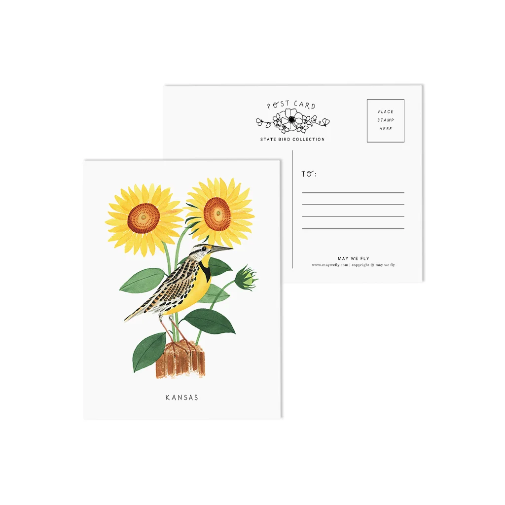 Kansas Meadowlark and Sunflowers State Bird Postcards