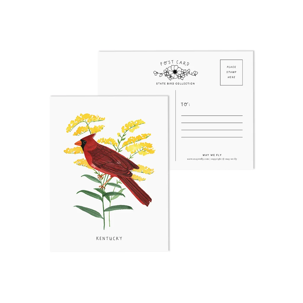 Kentucky Cardinal and Goldenrod State Bird Postcards
