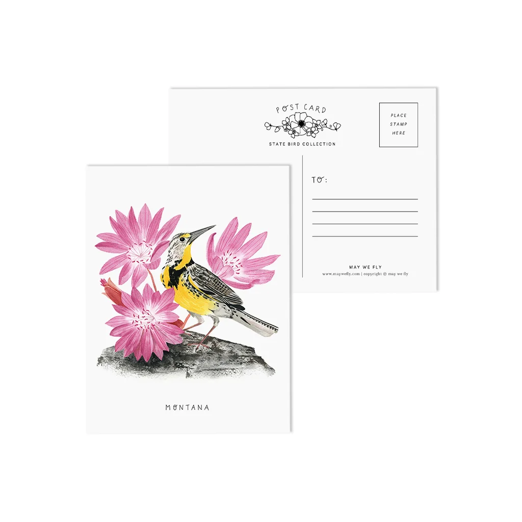 Montana Meadowlark and Bitterroot State Bird Postcards