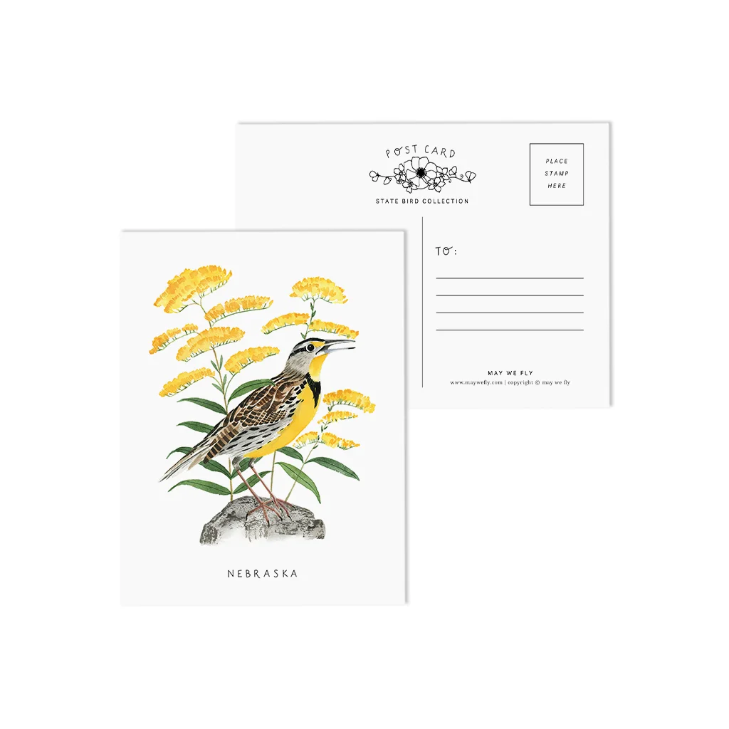 Nebraska Meadowlark and Goldenrod State Bird Postcards