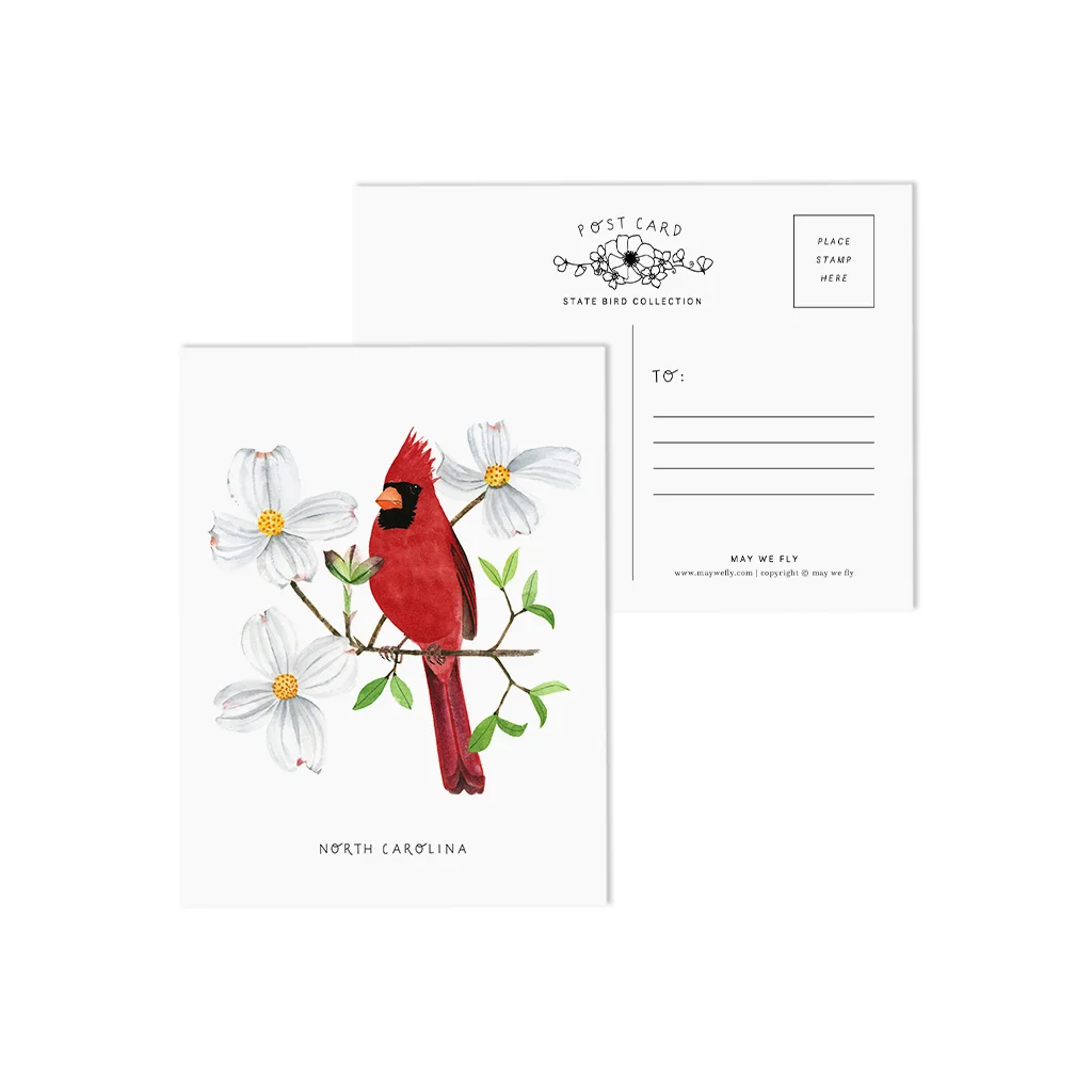 North Carolina Cardinal and Dogwood Blossom