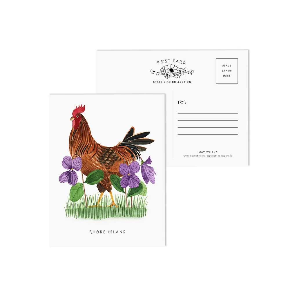 Rhode Island Red and Violets State Bird Postcards