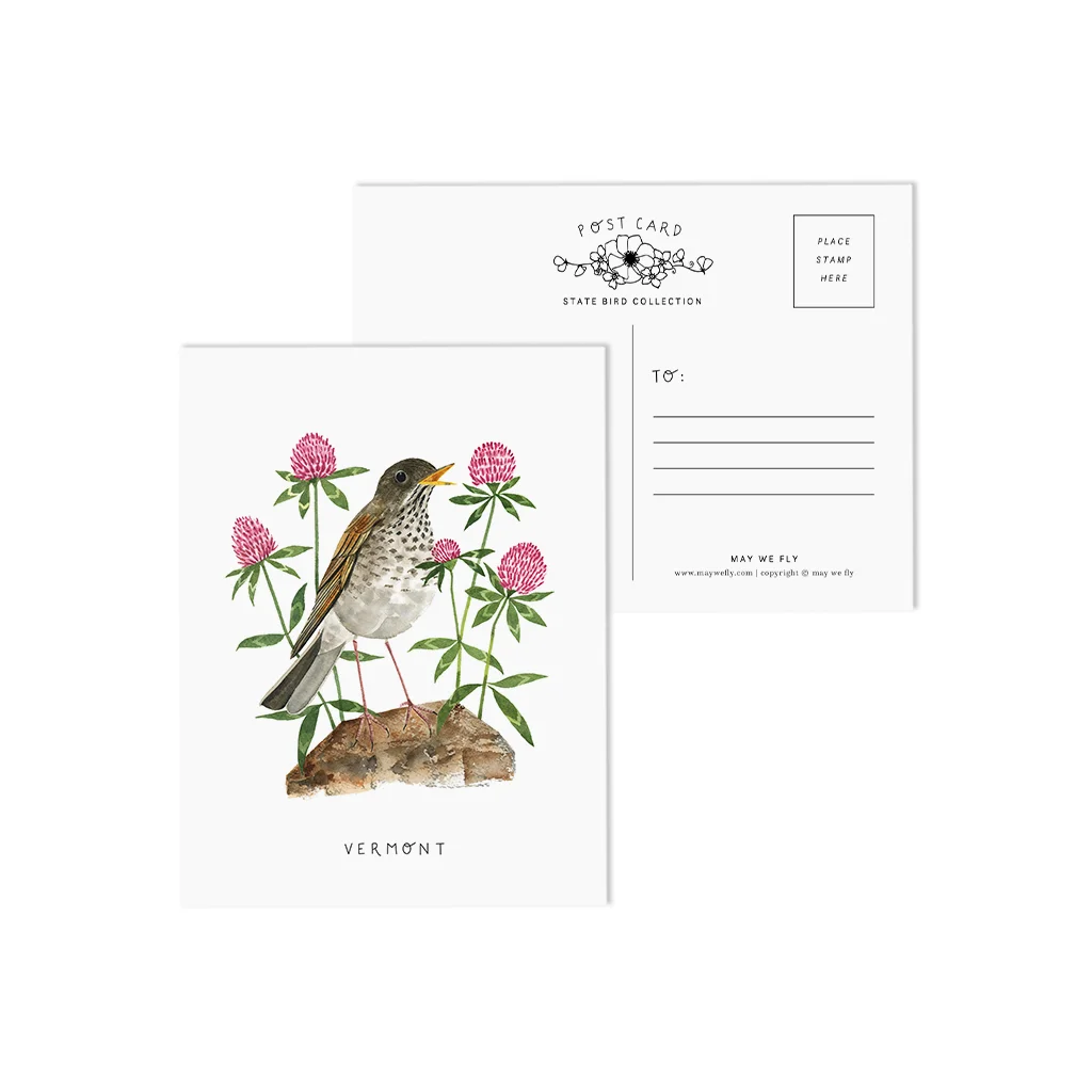 Vermont Hermit Thrush and Red Clover State Bird Postcards