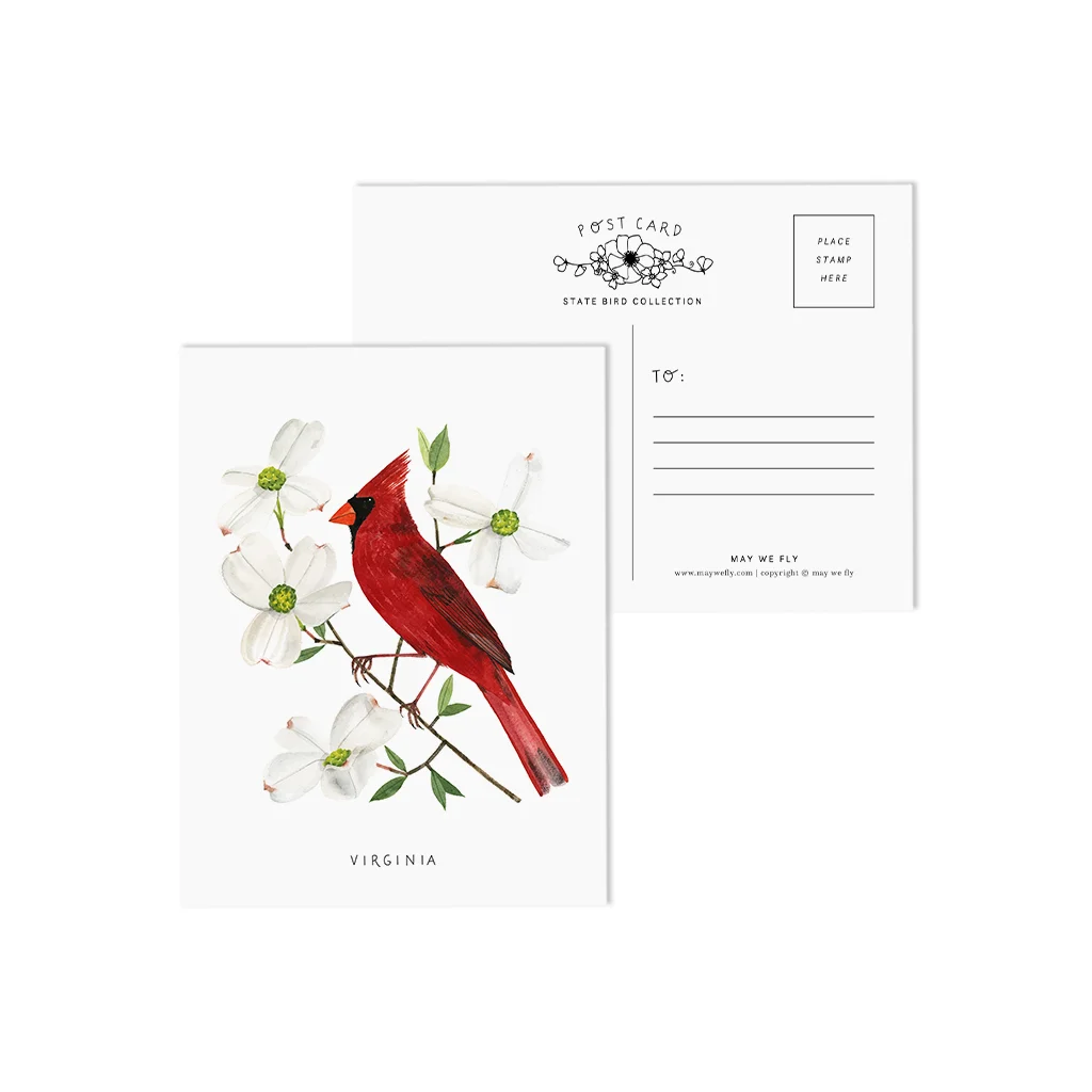 Virginia Cardinal and Dogwood State Bird Postcards