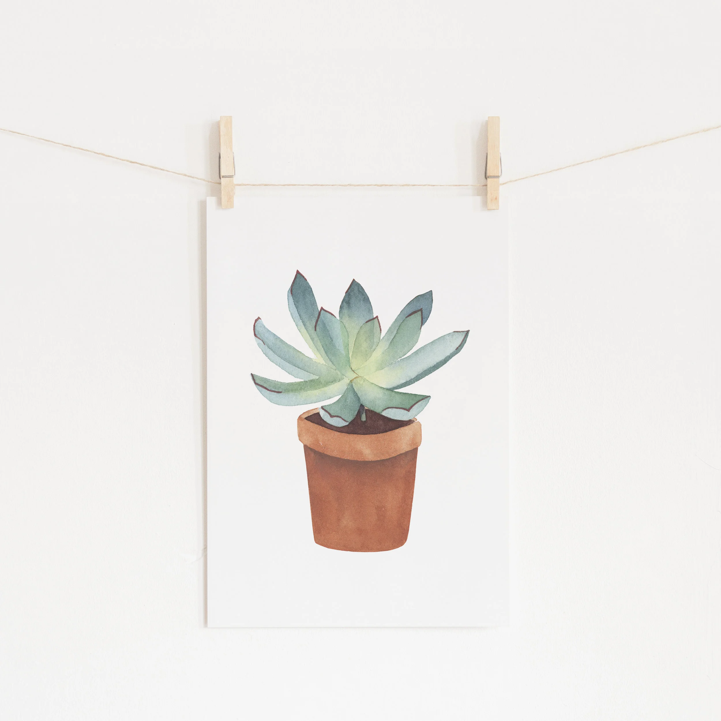 Baby Succulents Digital Bundle