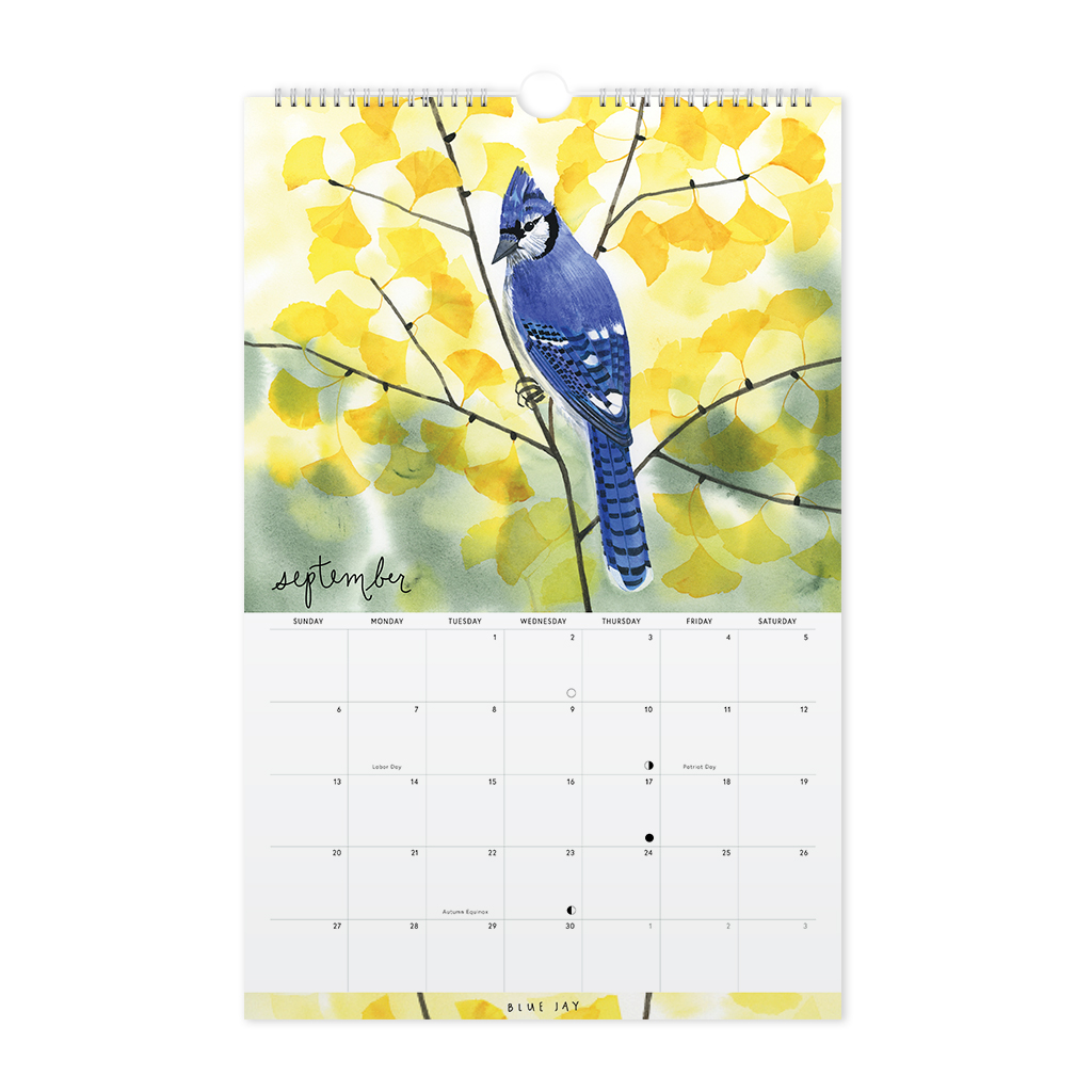 2020 Birds Wall Calendar 