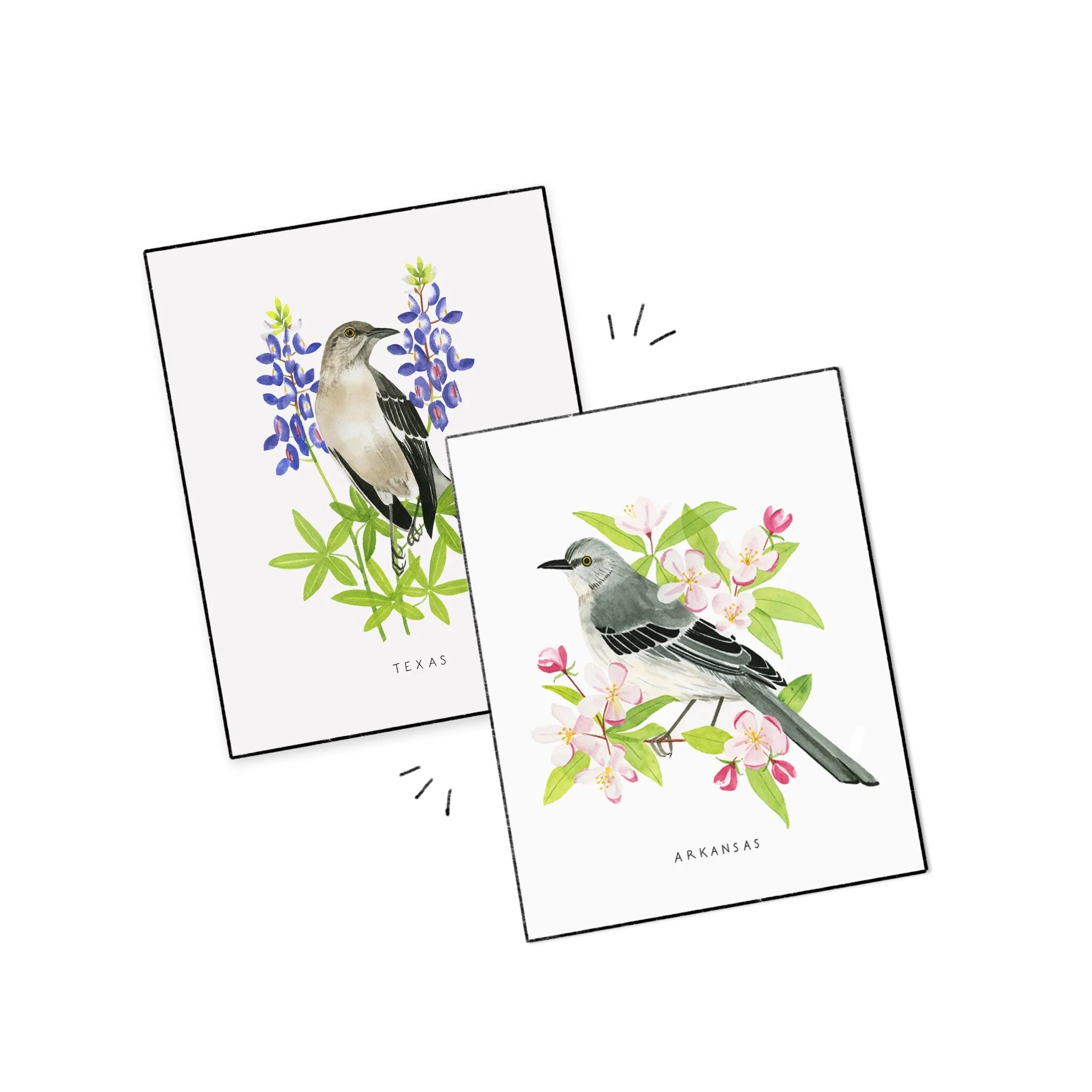 State Birds Mix and Match