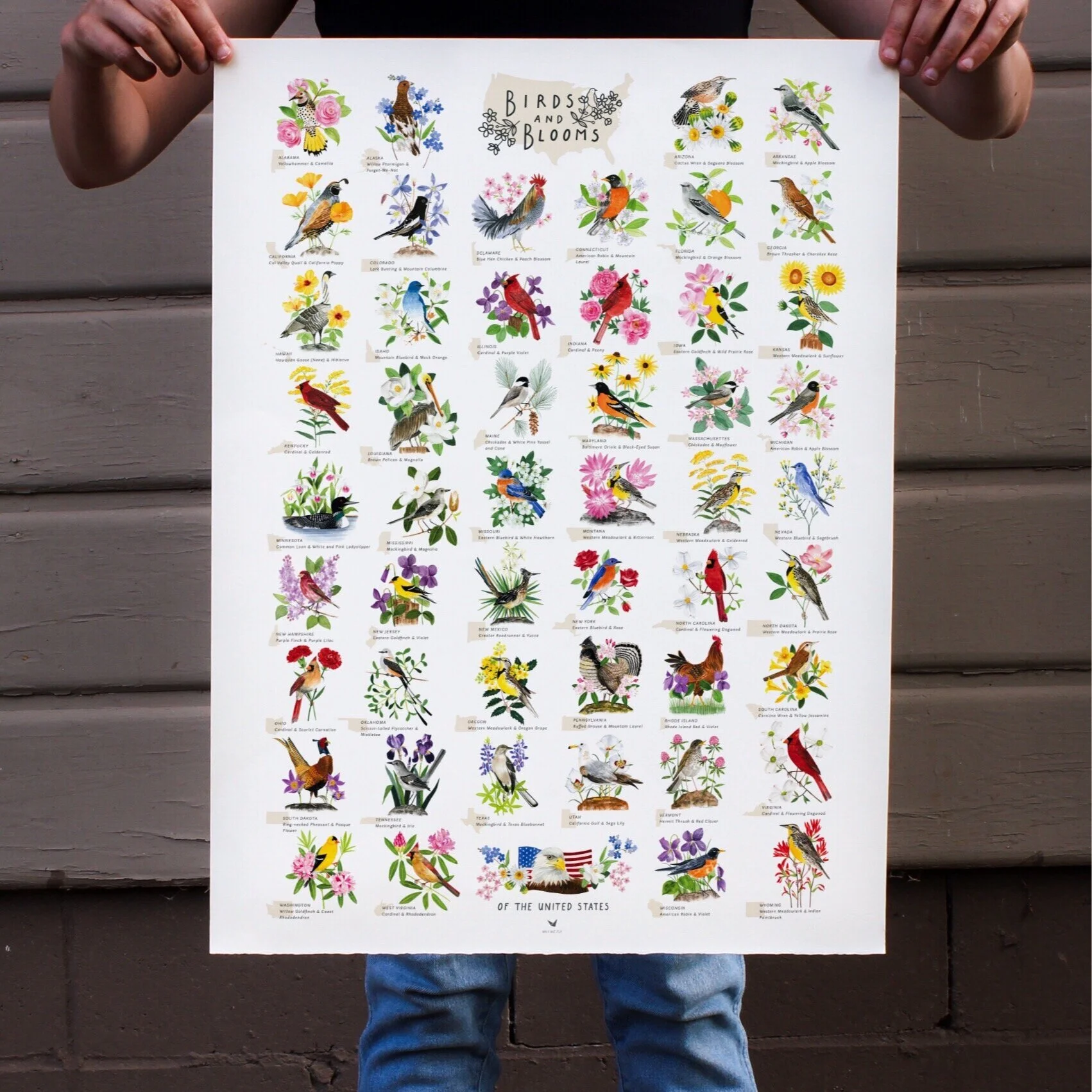 US State Birds and Flowers Poster (Copy)