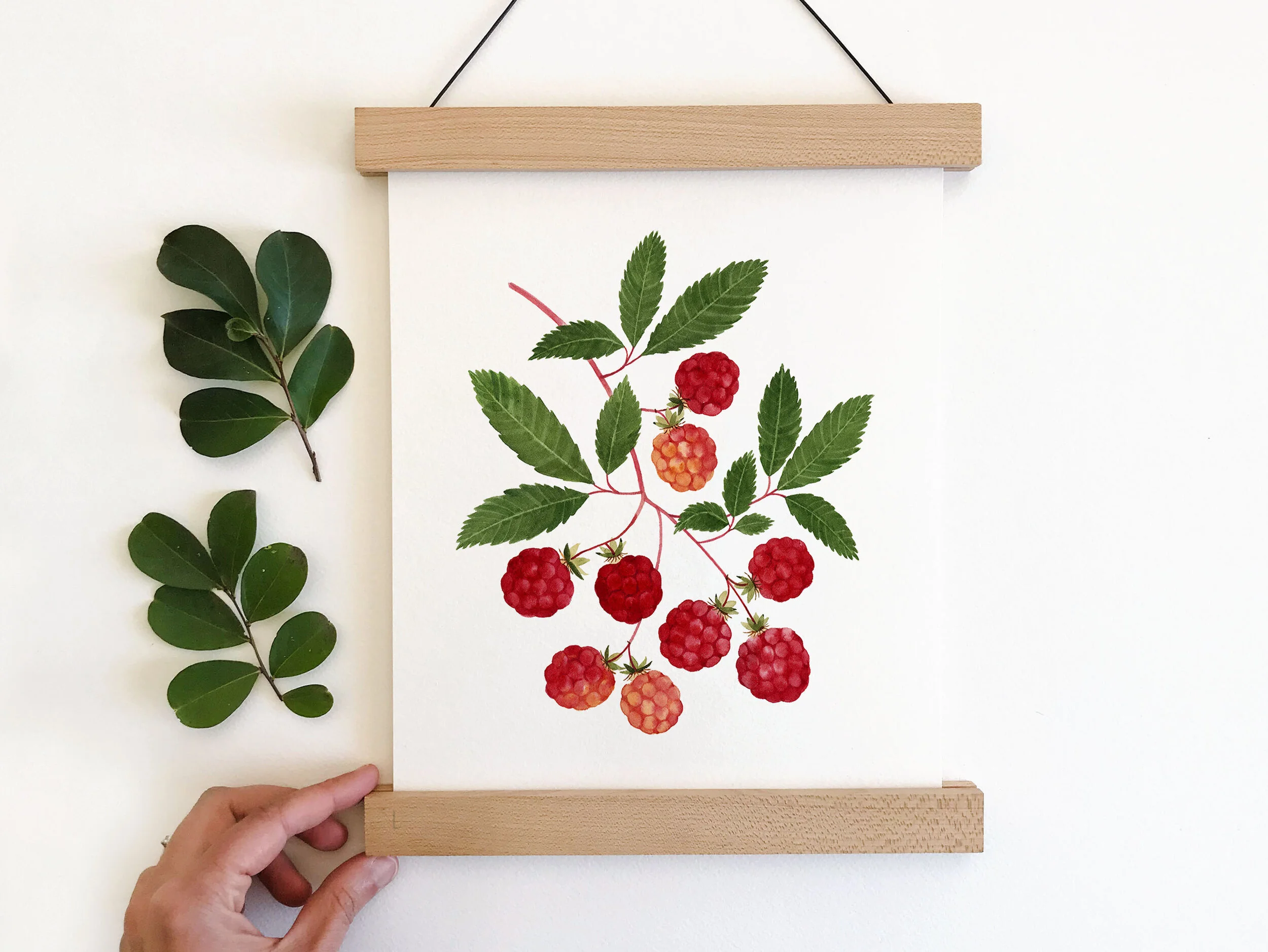 Raspberries_Small.jpg