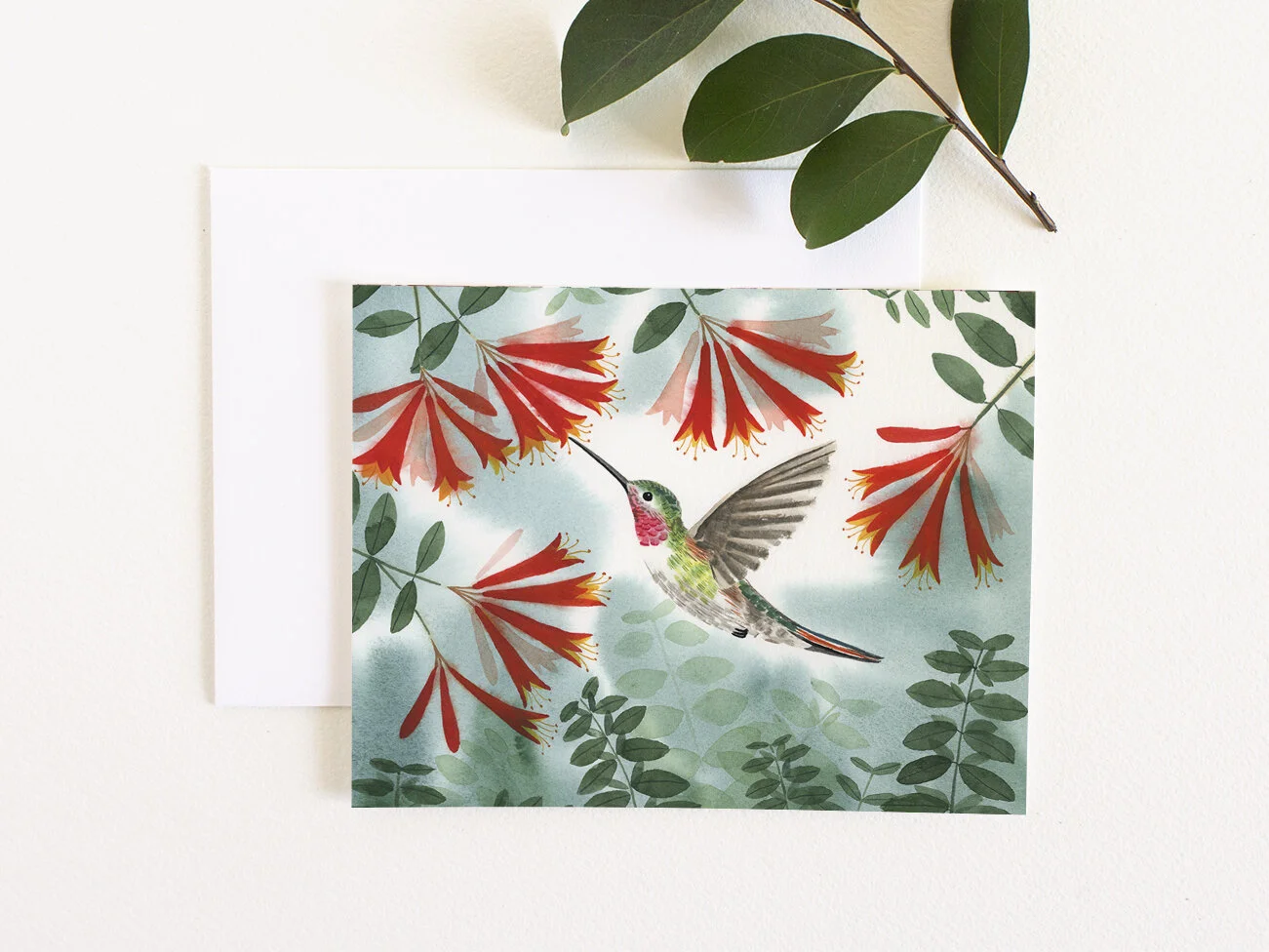 Hummingbird Greeting Card