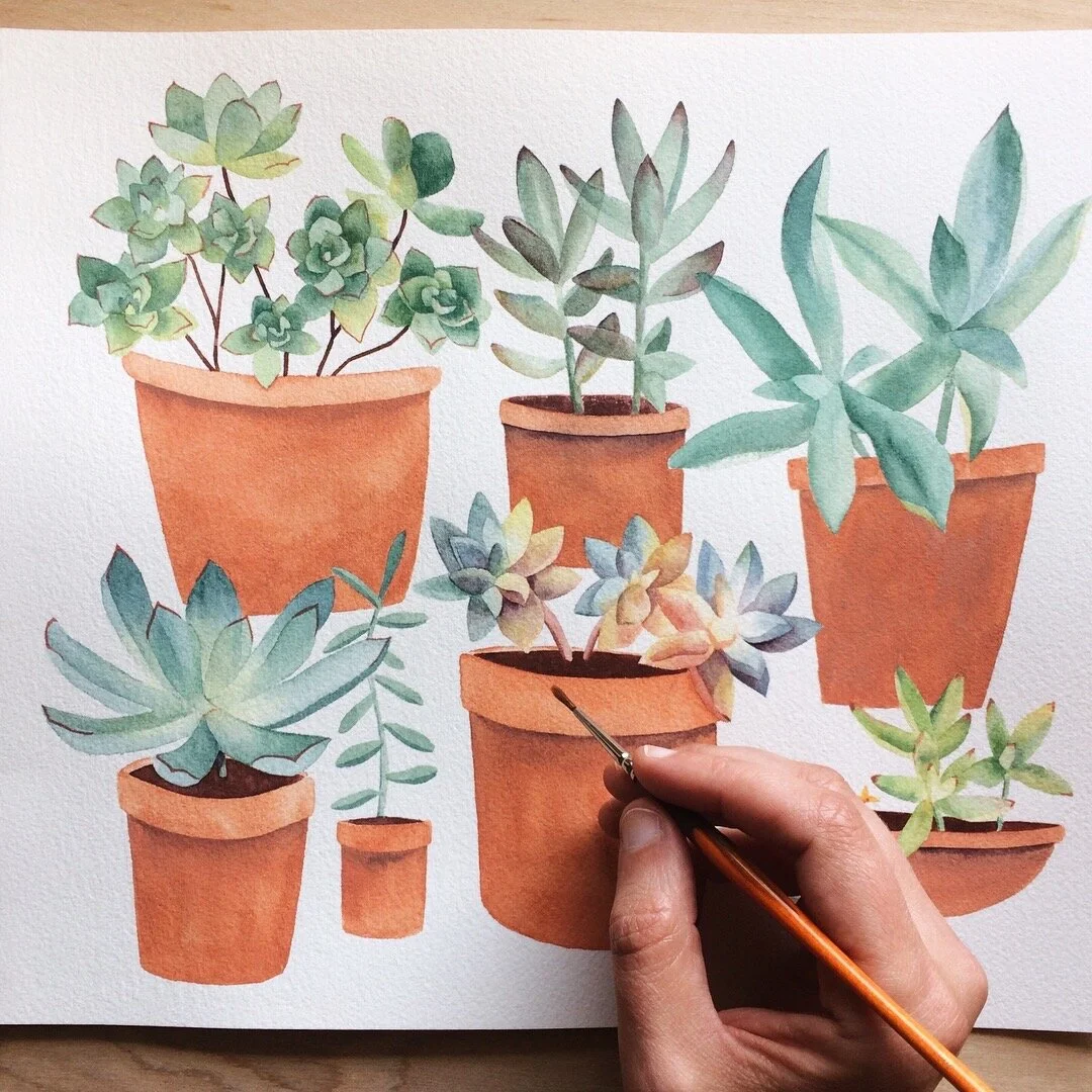 Succulent Workshop (Zoom)