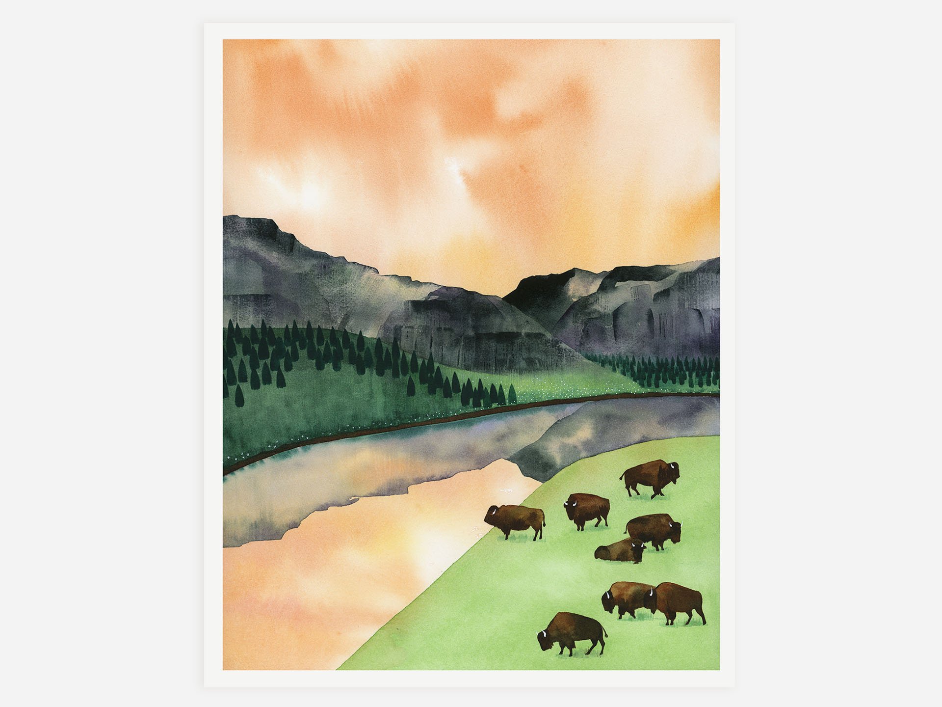 Where the Buffalo Roam