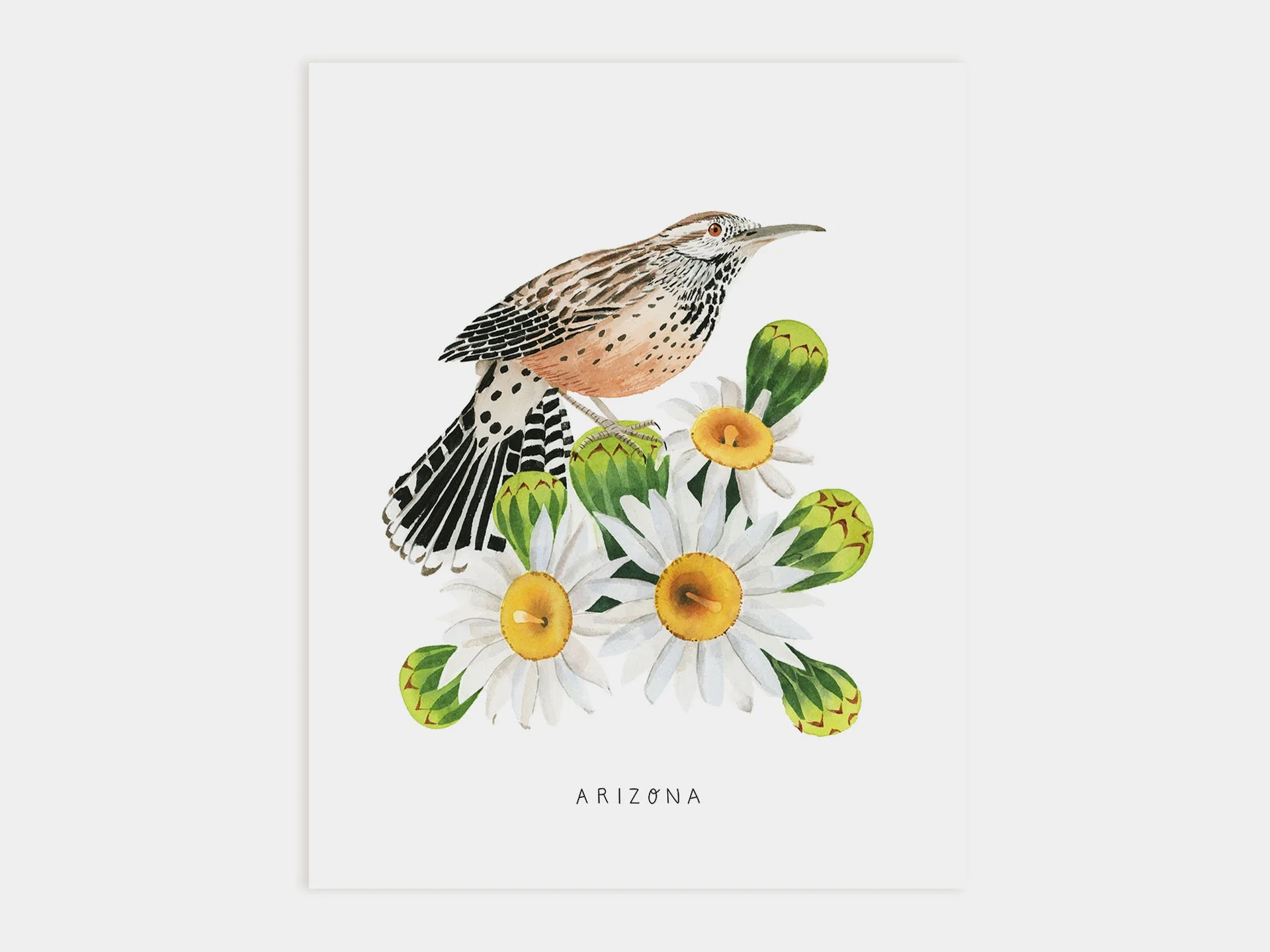 Arizona Cactus Wren Art Print