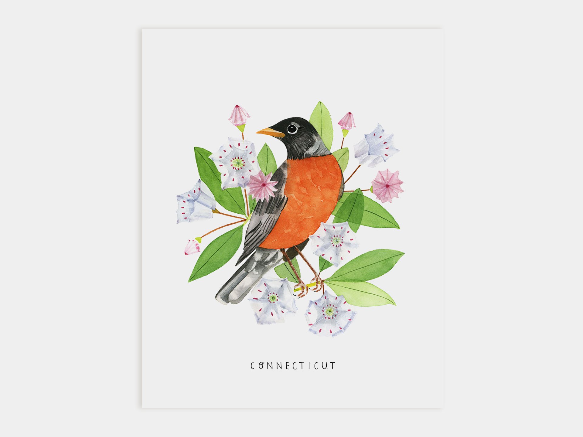 Connecticut Robin Art Print