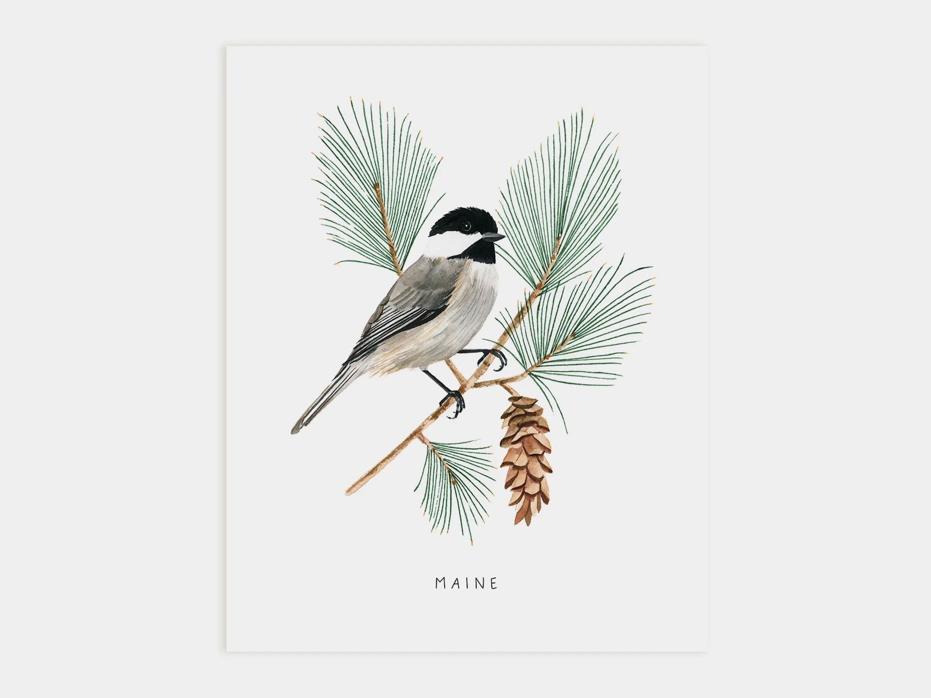 Maine Chickadee Art Print