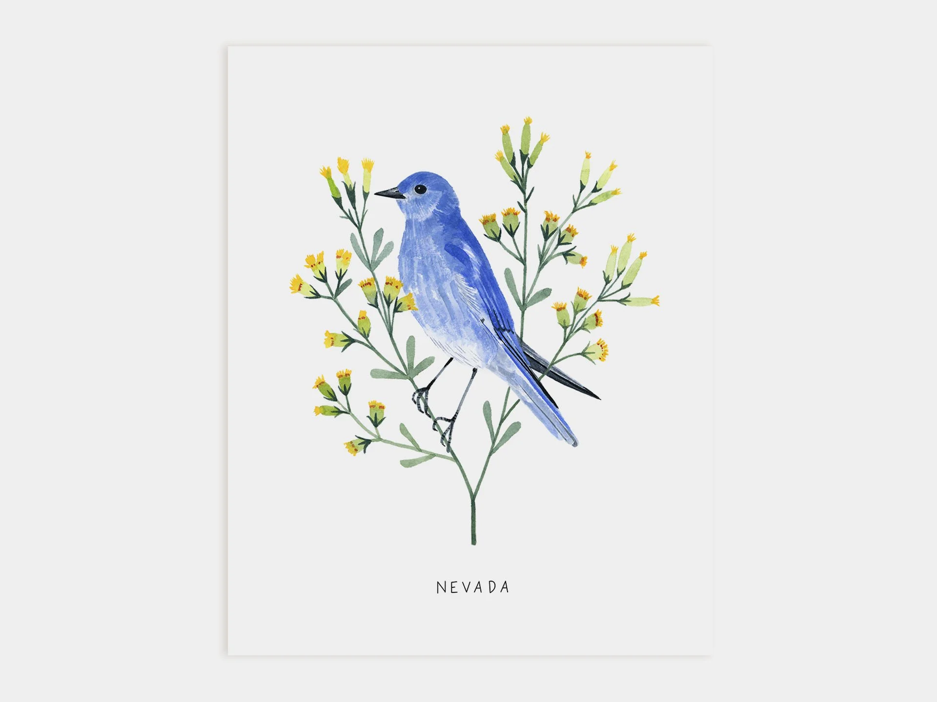 Nevada Bluebird Art Print