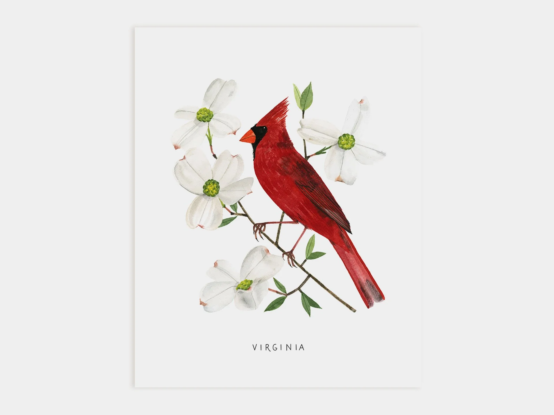 Virginia Cardinal Art Print