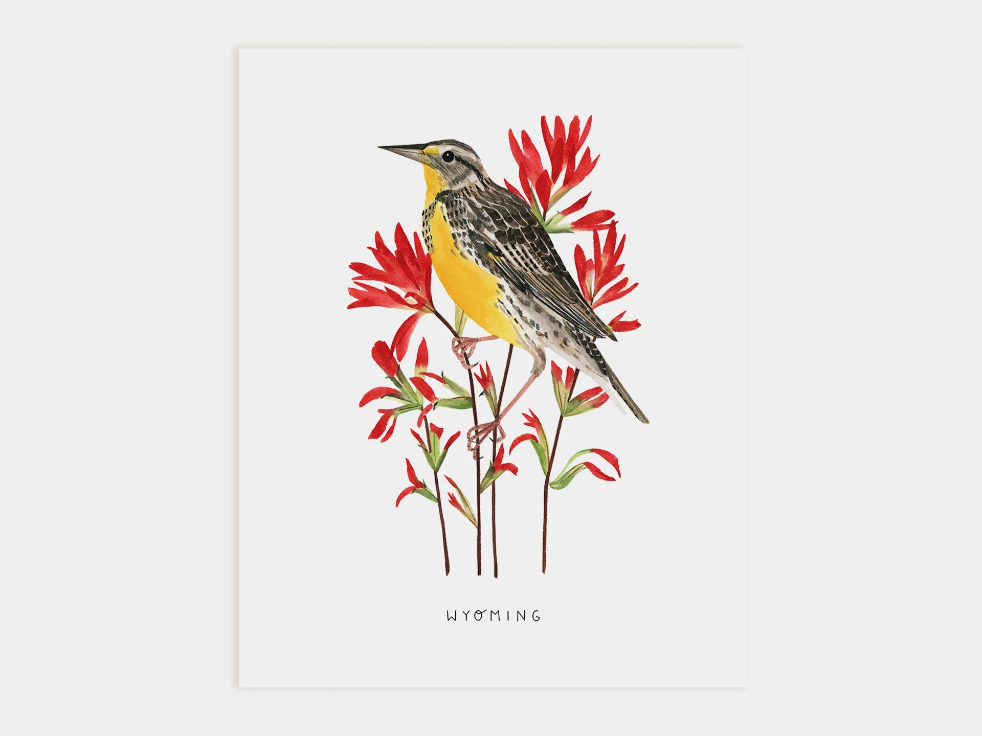 Wyoming Meadowlark Art Print