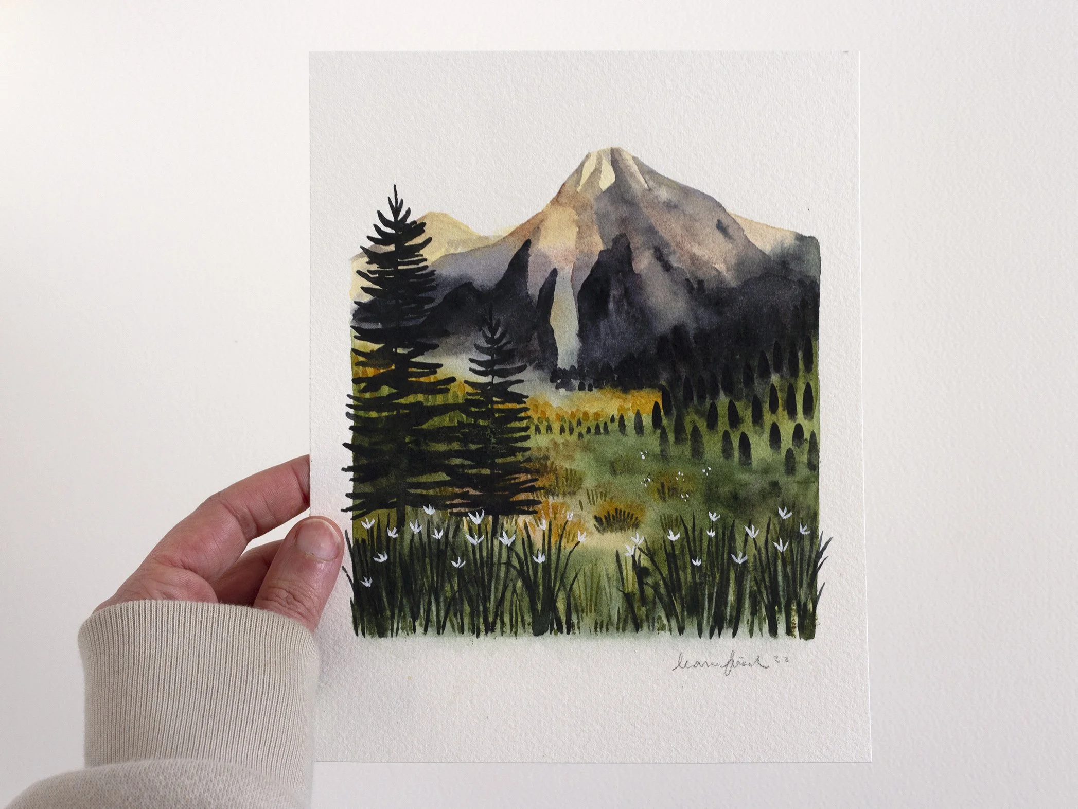 Summer Mountain Original_2.jpg
