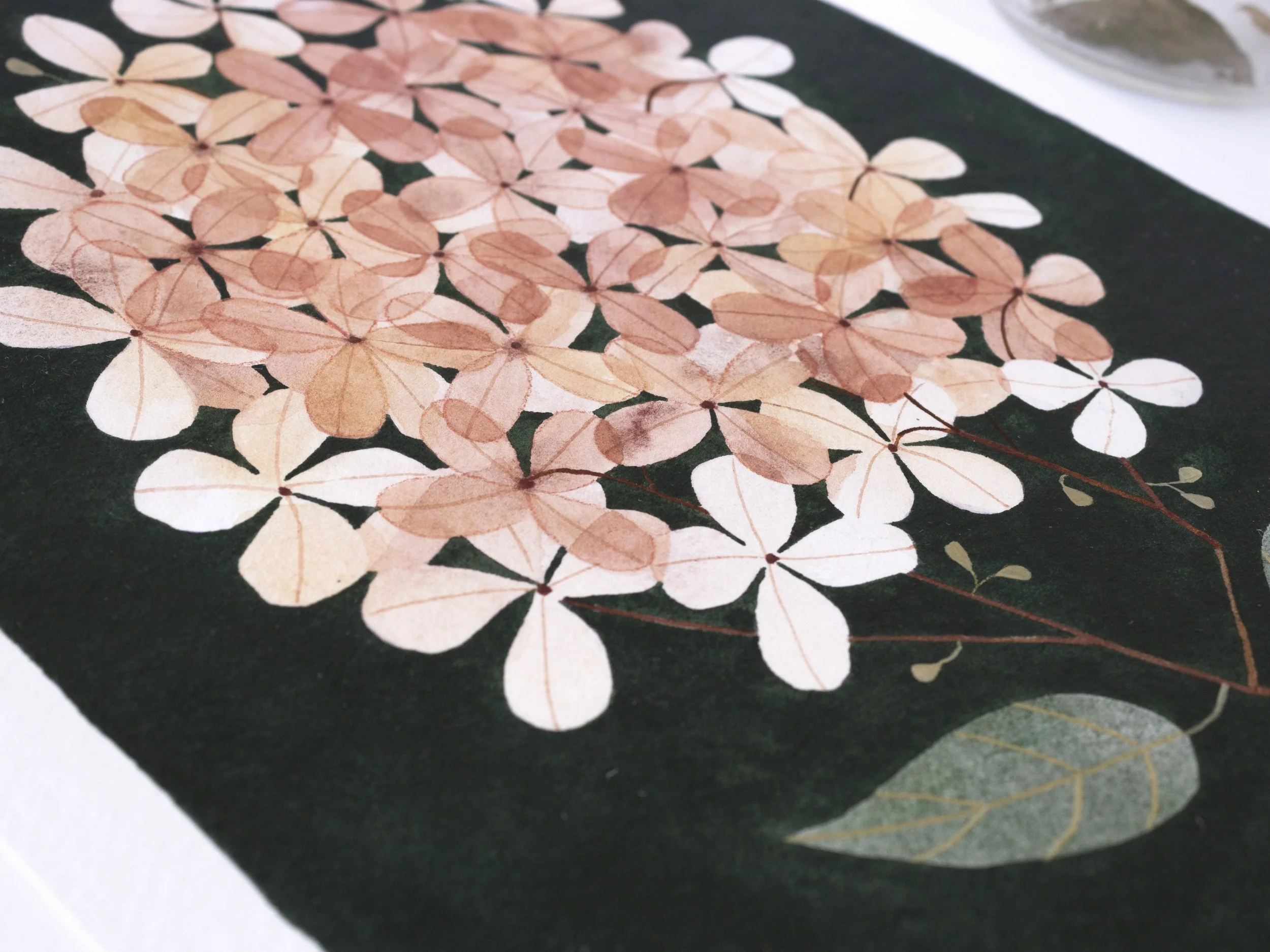 Pressed Hydrangea Original_Web3.JPG