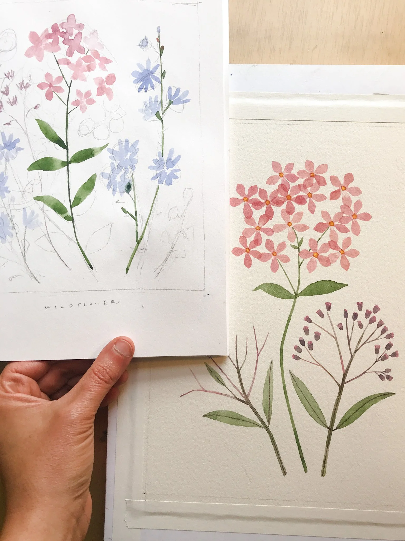 Pressed Wildflower_Process1.JPG