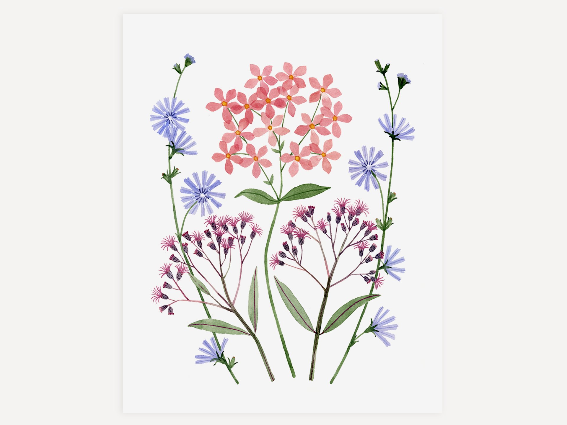 May We Fly — Watercolor Wildflowers Art Print