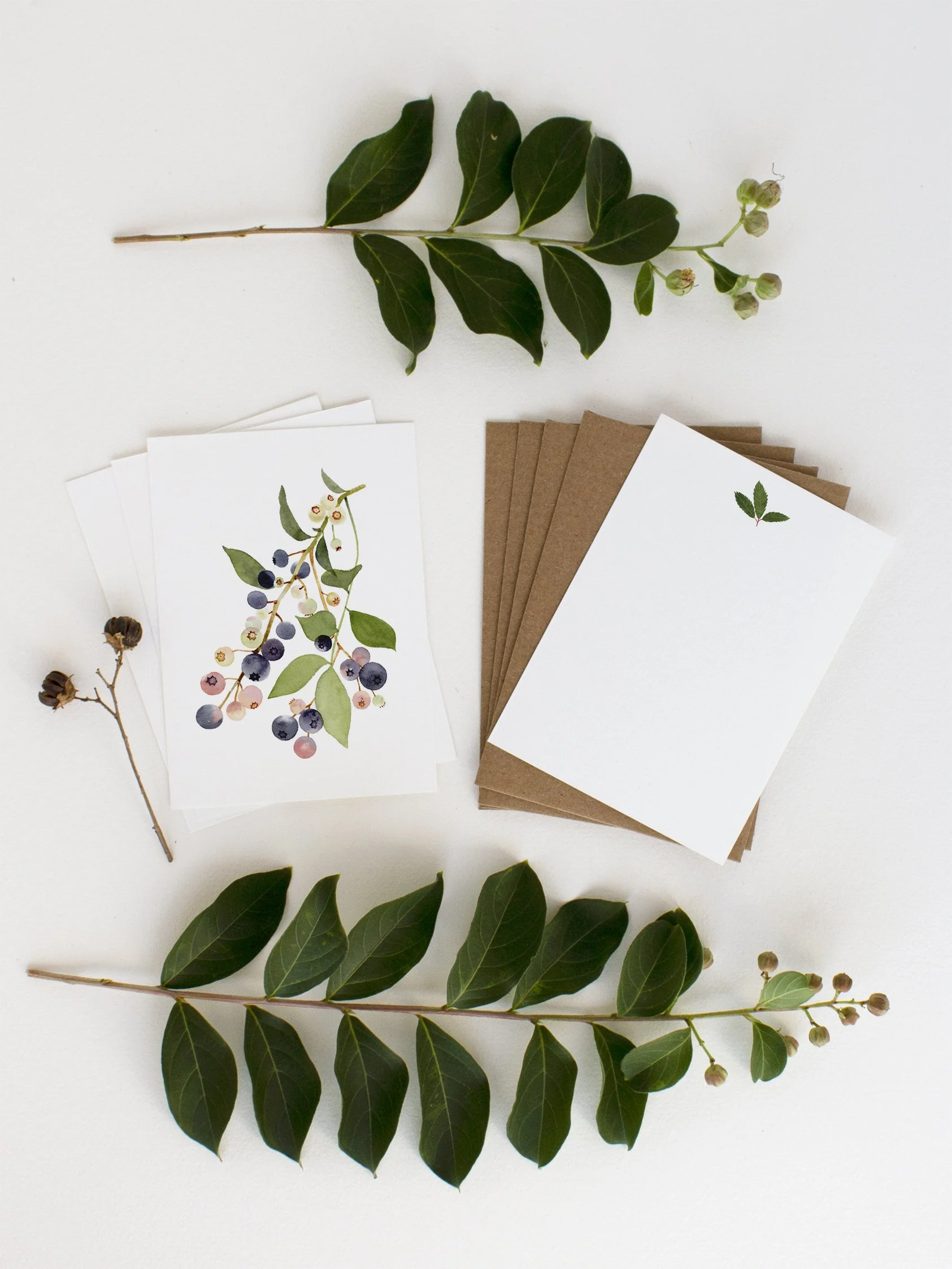 NC18 Mixed Berries_Web3.jpg