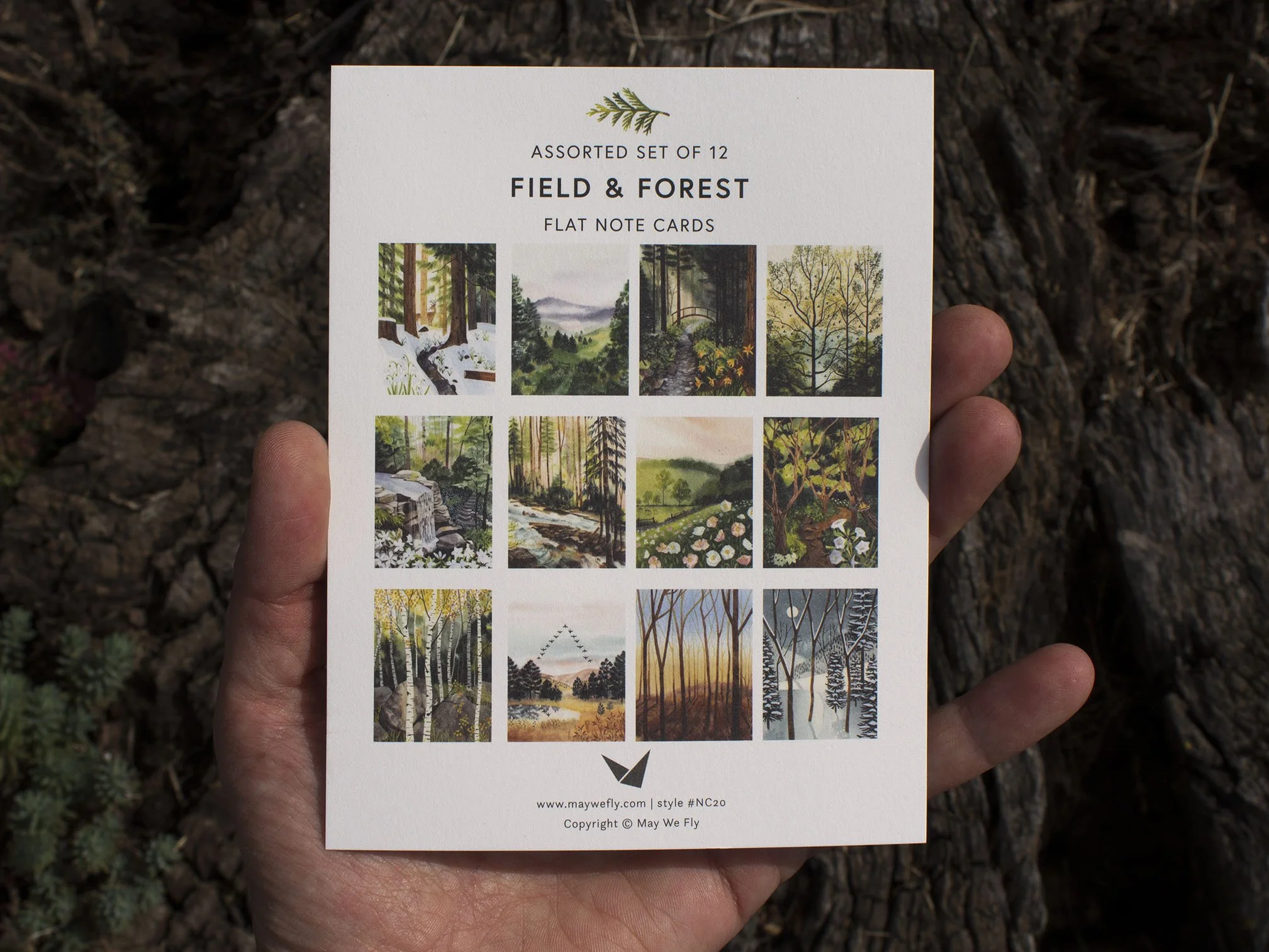 NC20 Field + Forest_Web2.jpg