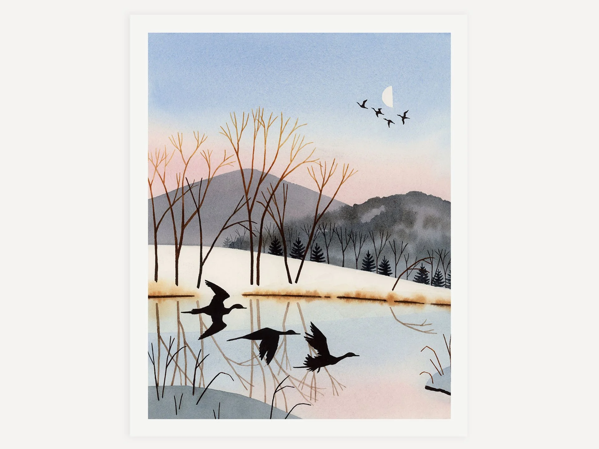 POJ02 Winter Flight_Web1.jpg