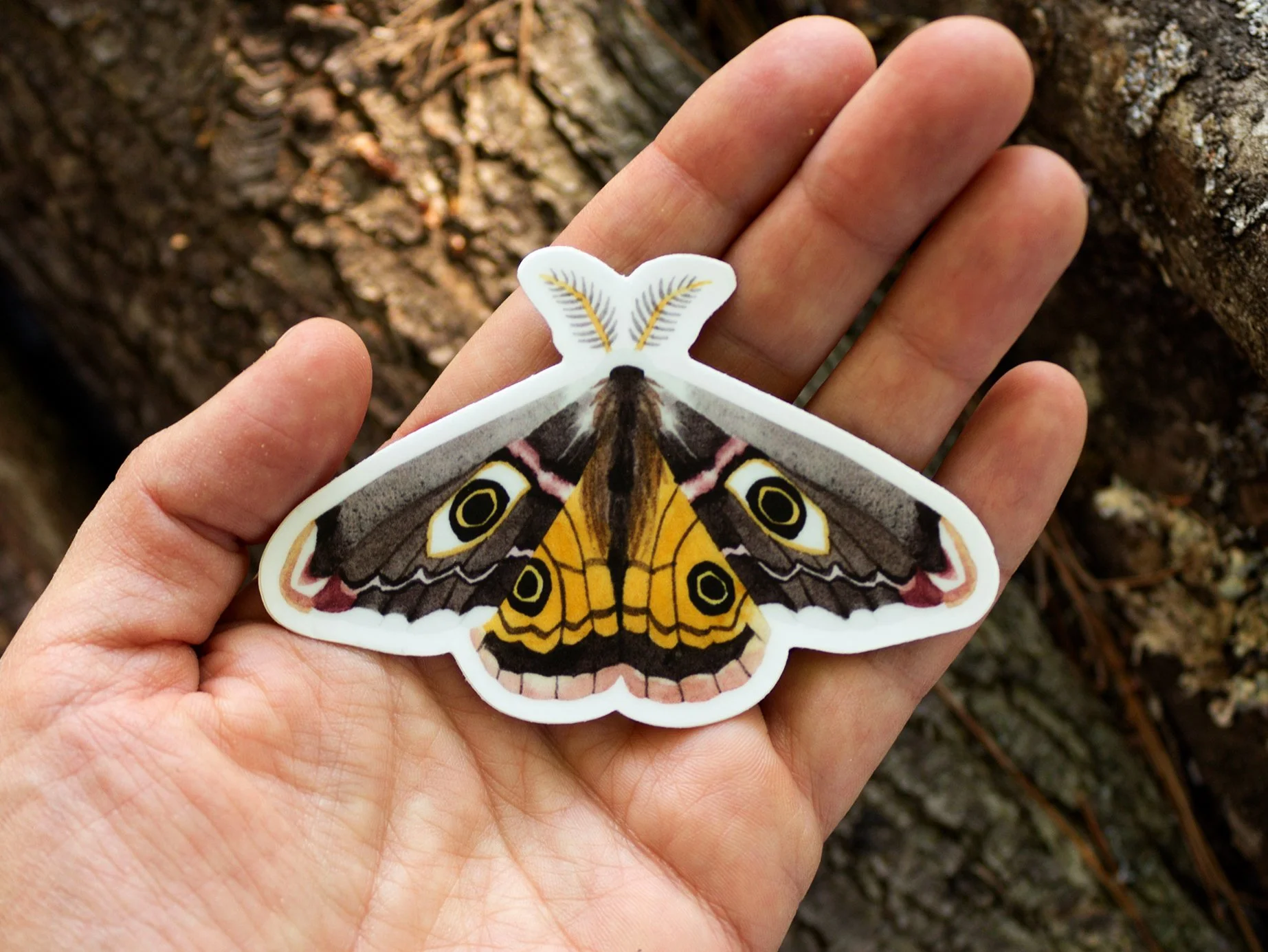 Moth Sticker_Web1.jpg