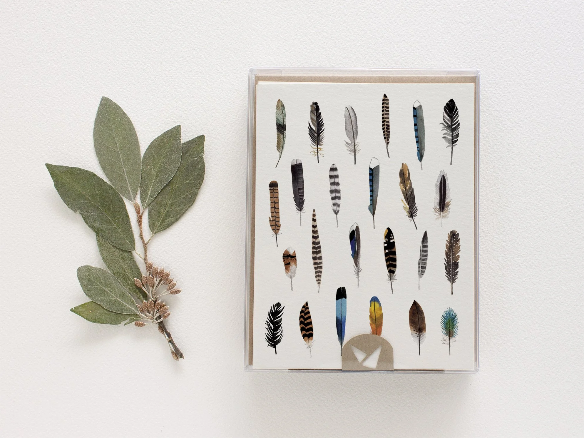 GC139 Feathers Card_Web3.jpg