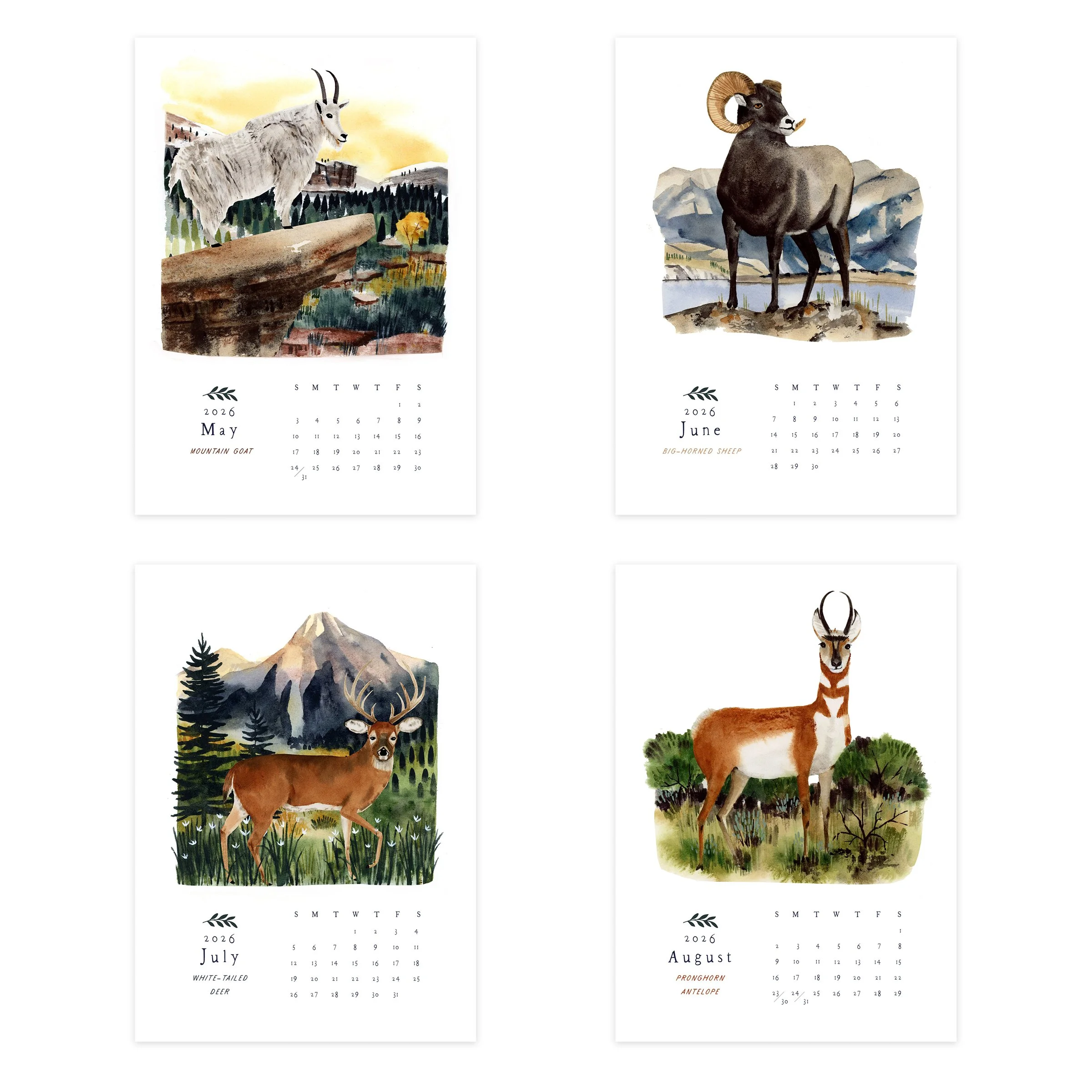 2026 Wild Animals Cal_Web3.jpg
