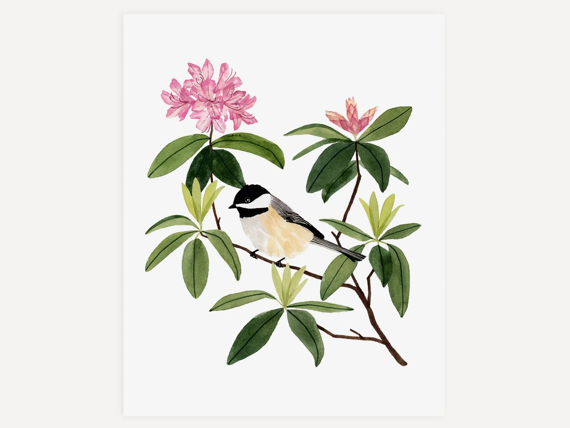 P79 Chickadee + Rhododendron_Web1.jpg
