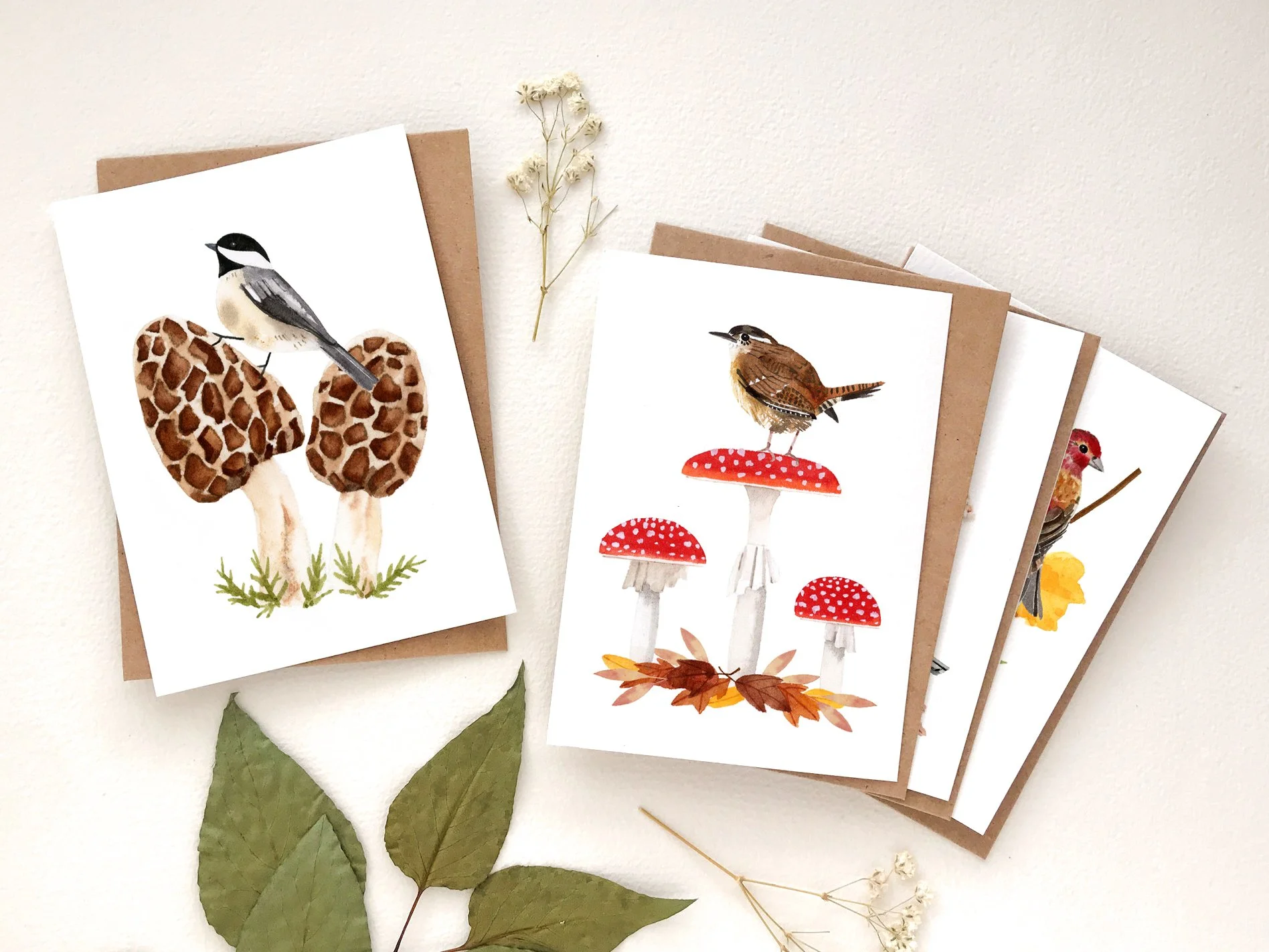 NC15 Bird and Mushrooms_Web1.jpg