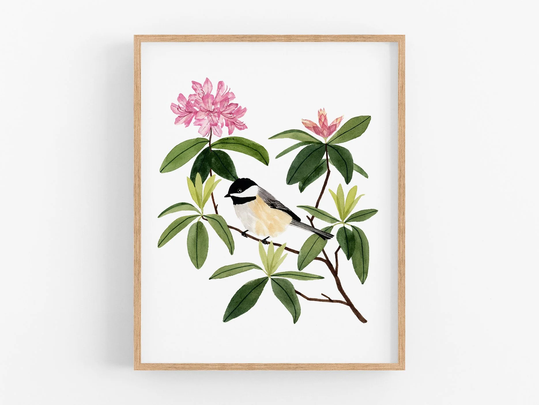 P79 Chickadee + Rhododendron_Web2.jpg