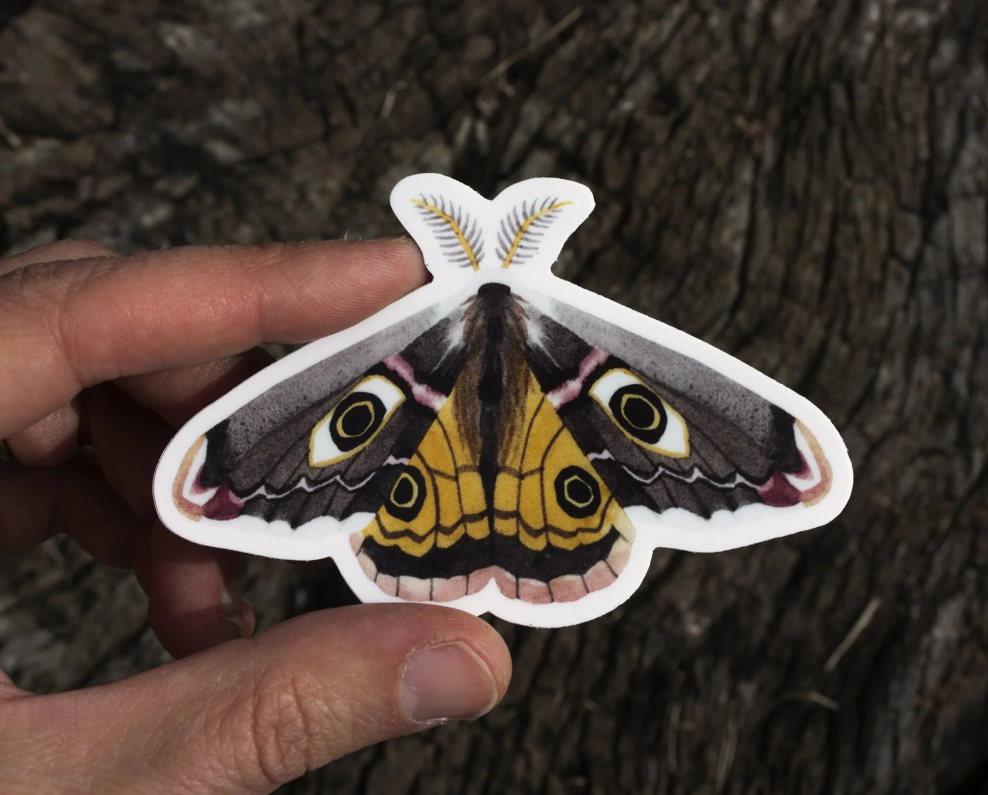 S19 Moth Sticker_Web3.jpg