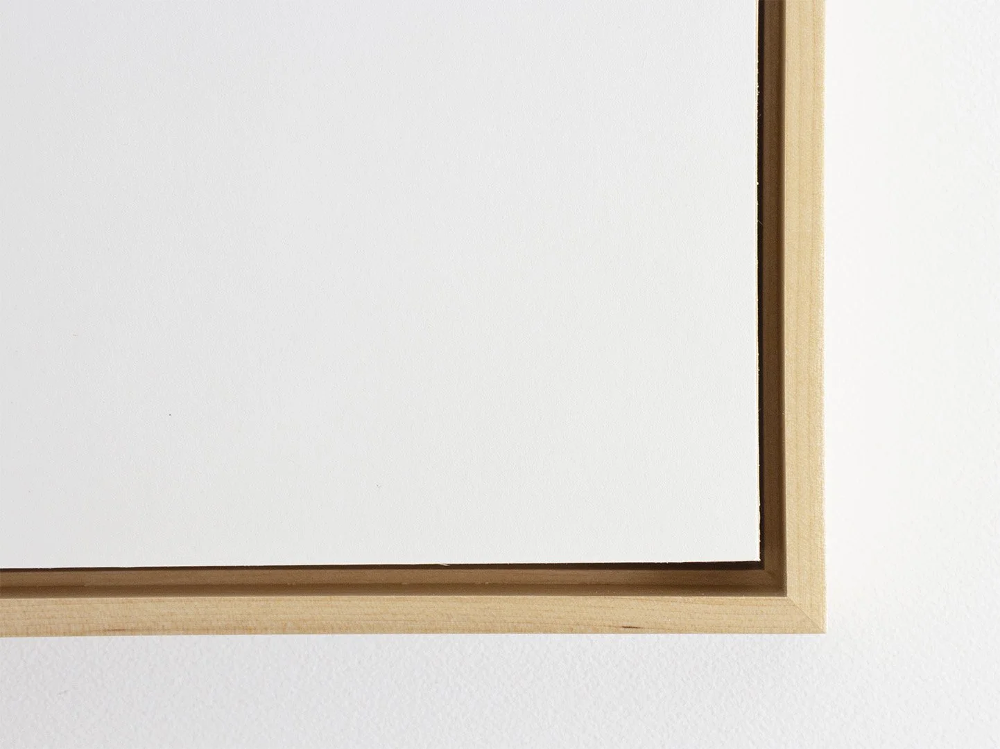 Birch Frame_Web2.jpg