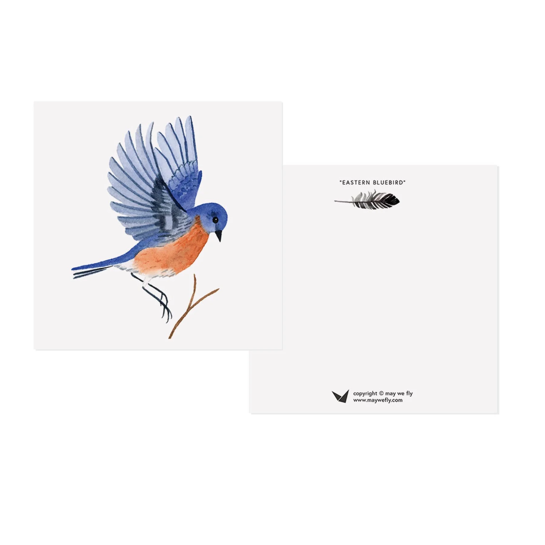 NCX Bird Notecard Set_Web4.jpg