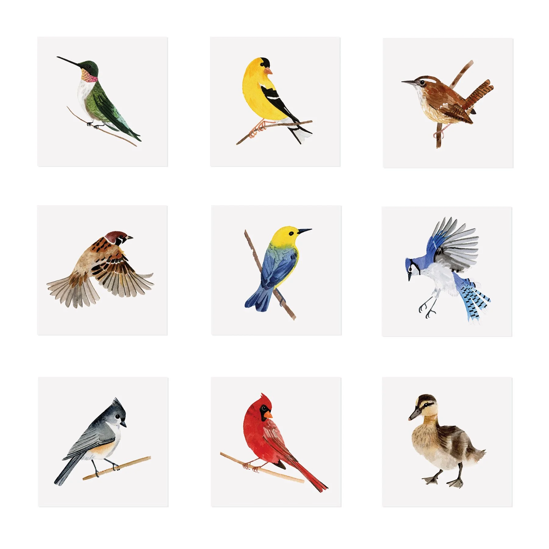 NCX Bird Notecard Set_Web3.jpg