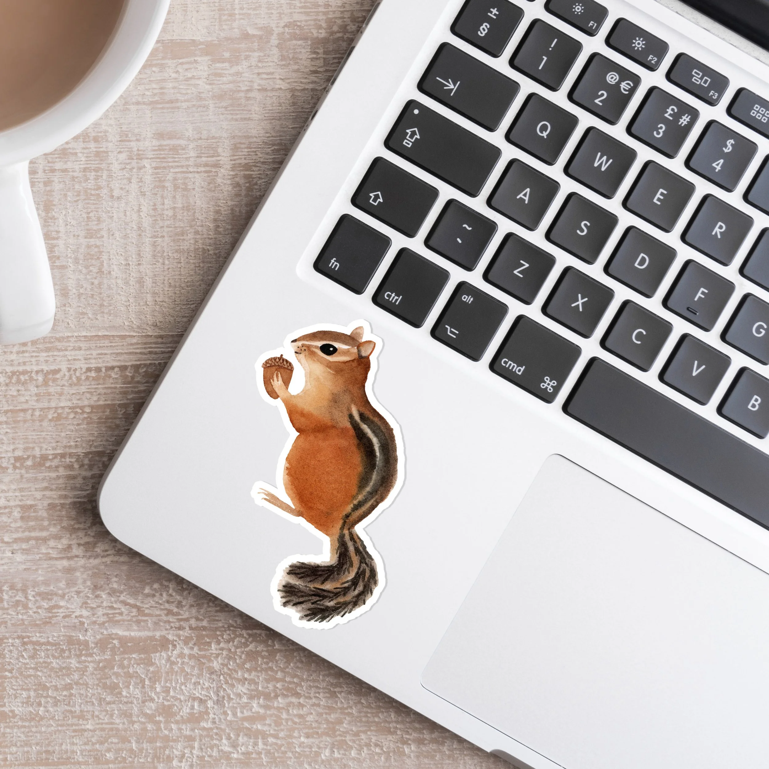 S16 Chipmunk Sticker_Web2.jpg